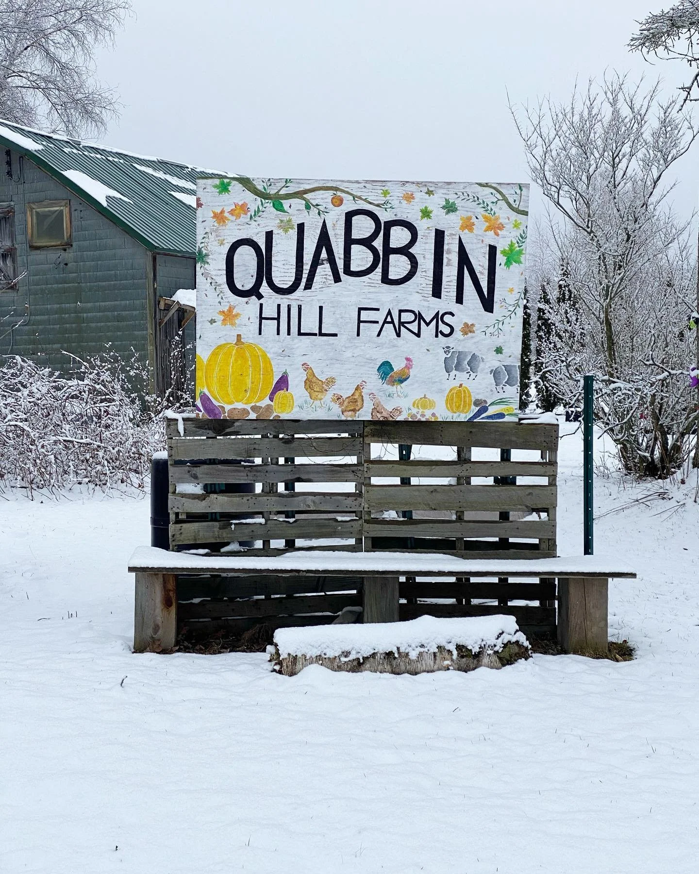 It Feels Good to Be Local