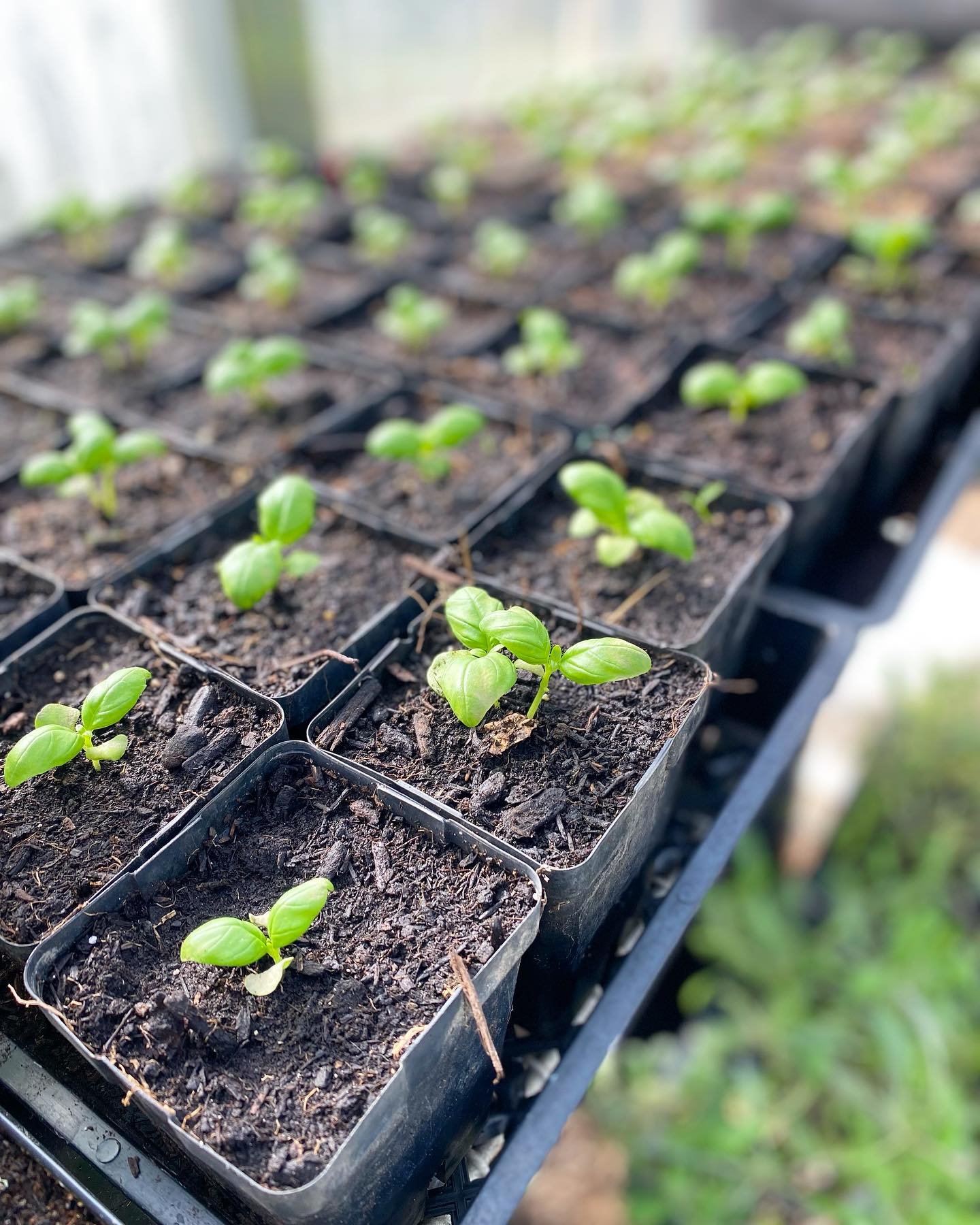 Marching Into a New Season