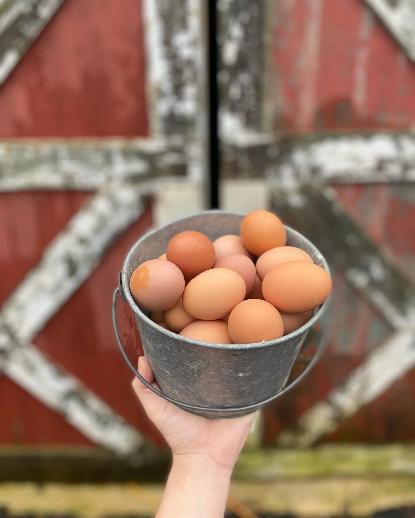 Farm Fresh Deviled Eggs