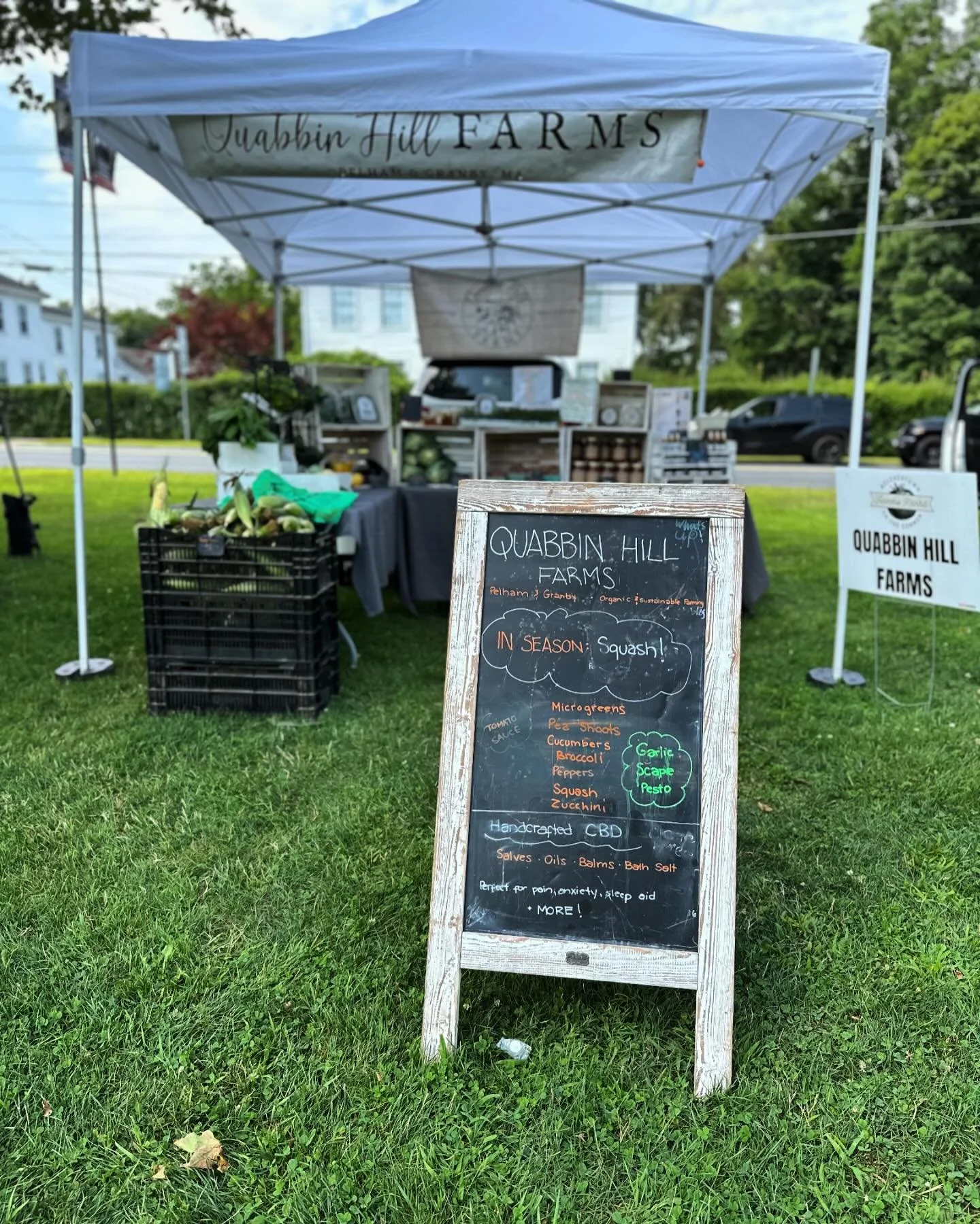 It’s Officially Market Season