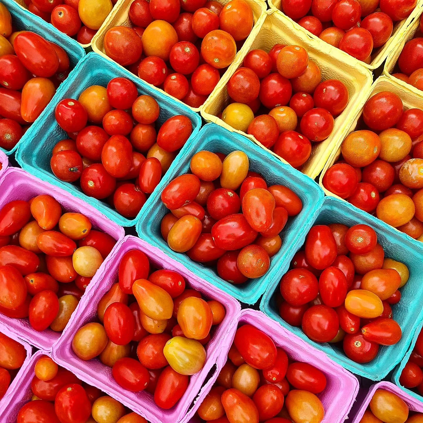 Our Favorite Time of Year: Tomato Season!