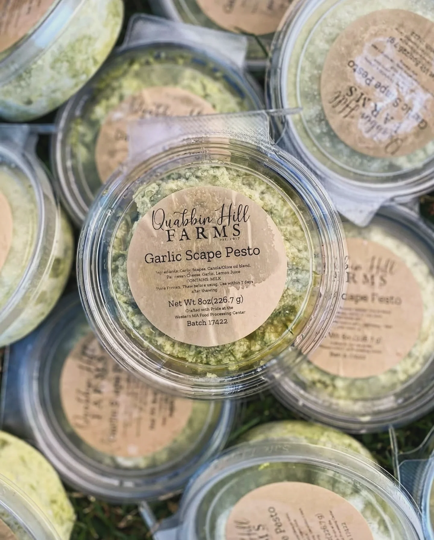Garlic Scape Pesto