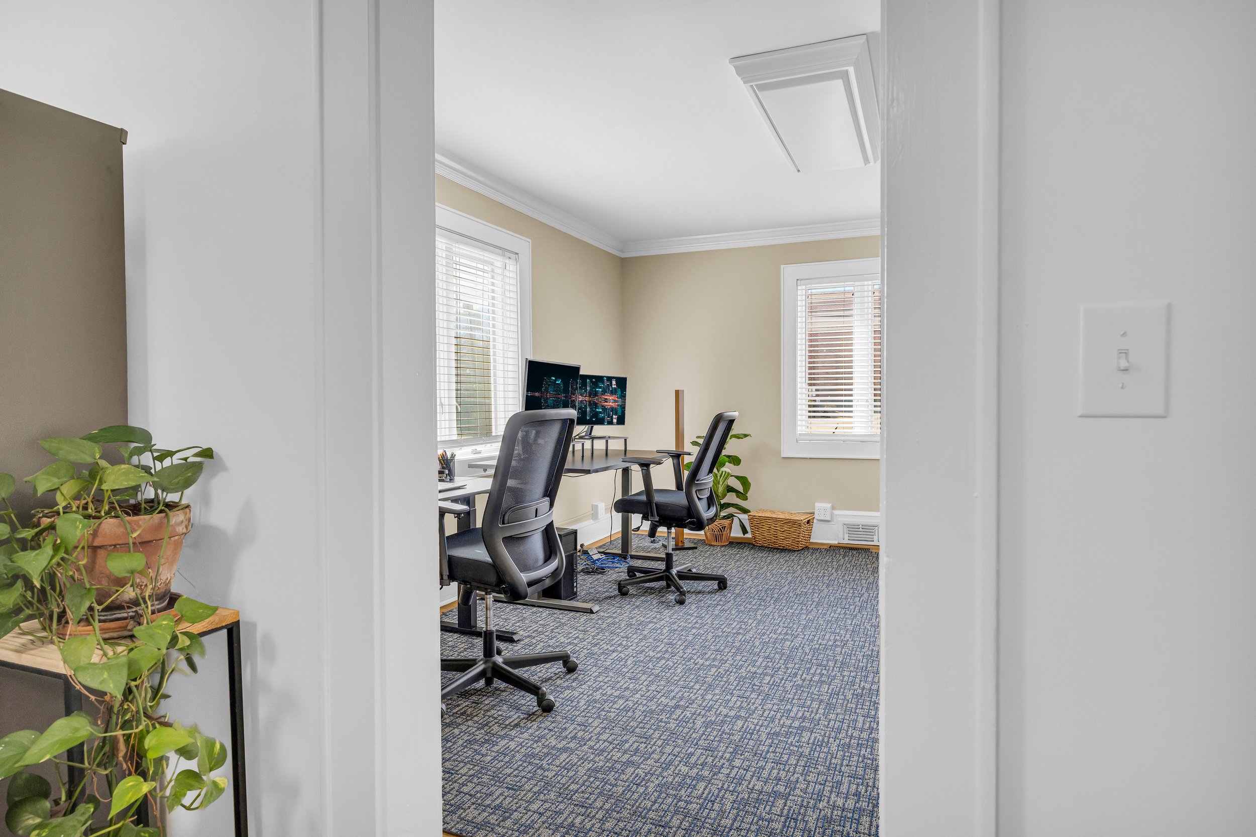 Modern home office with two desks, ergonomic chairs, dual monitors, and houseplants. Beige walls and blue carpet. Bright natural light from two windows.