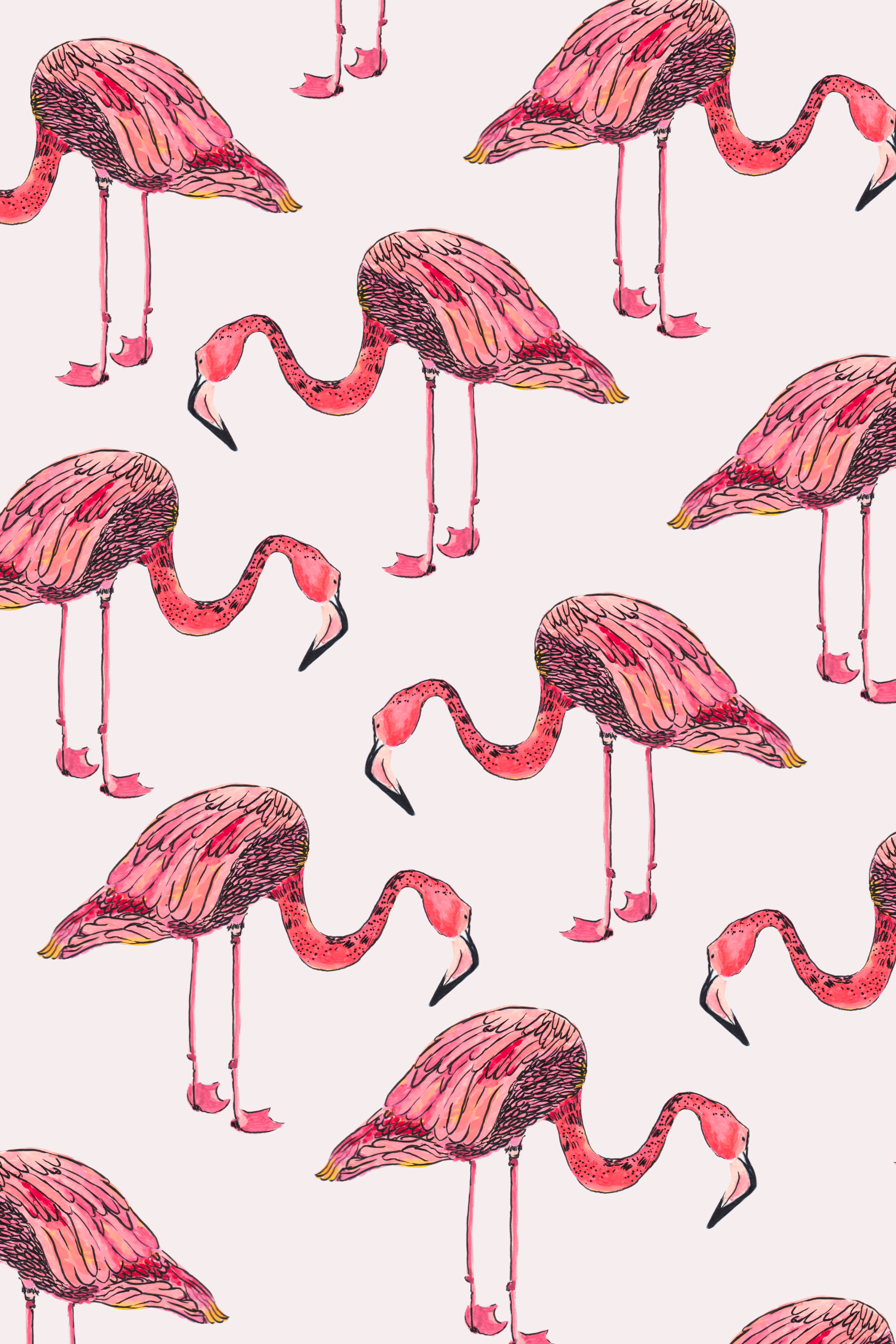 Flamingo Large .png