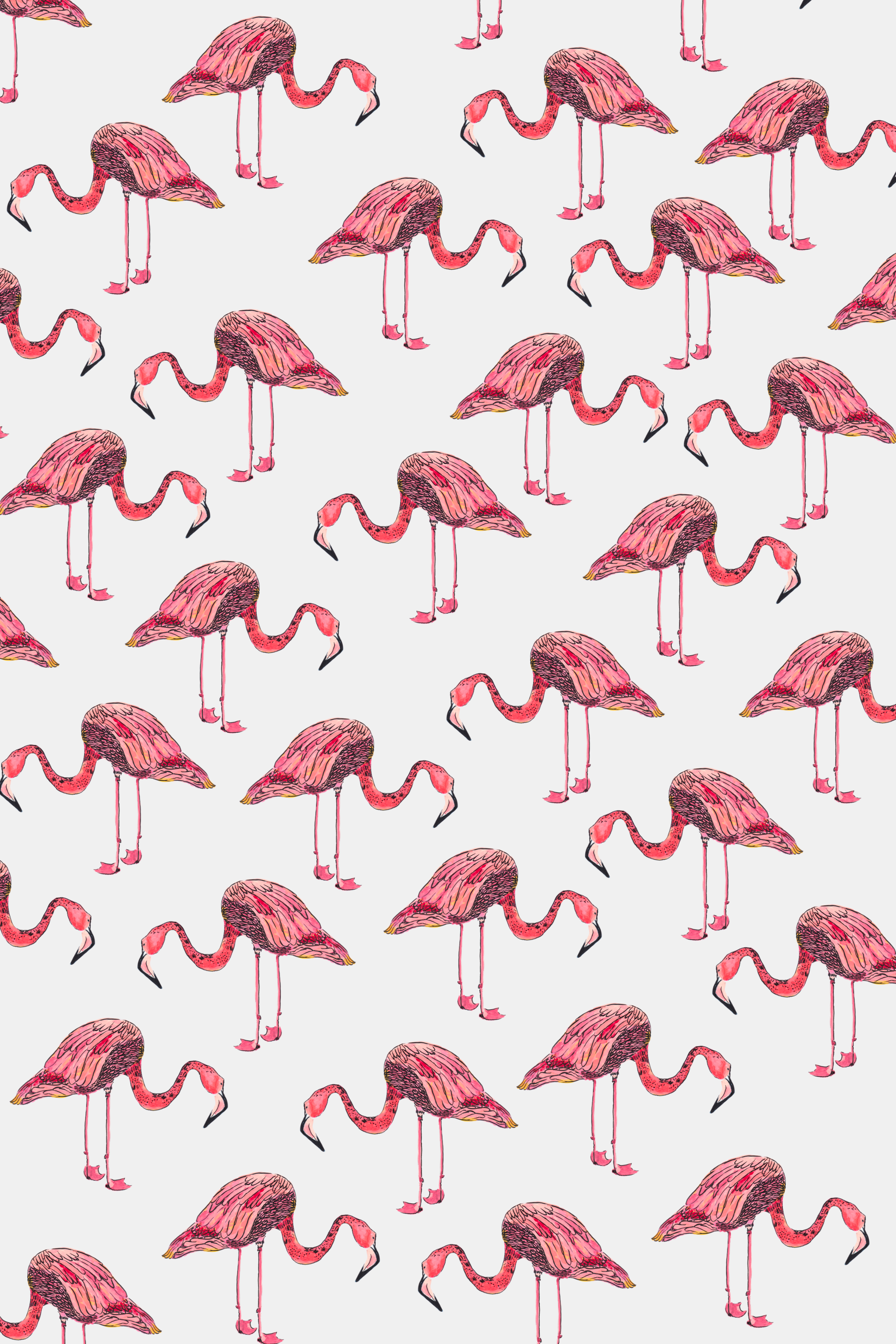 Flamingo Small.png