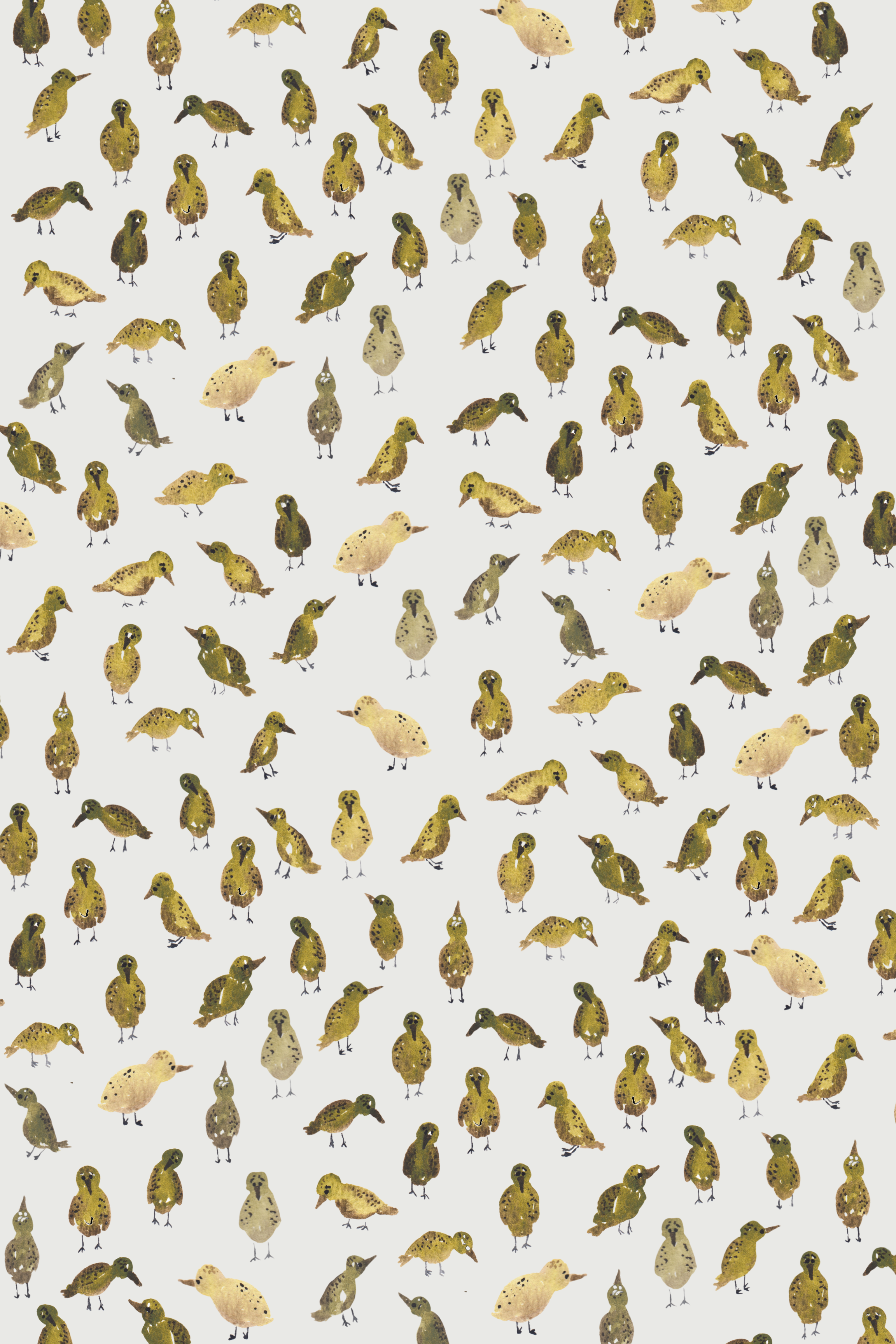 Silly Birds Pattern.png