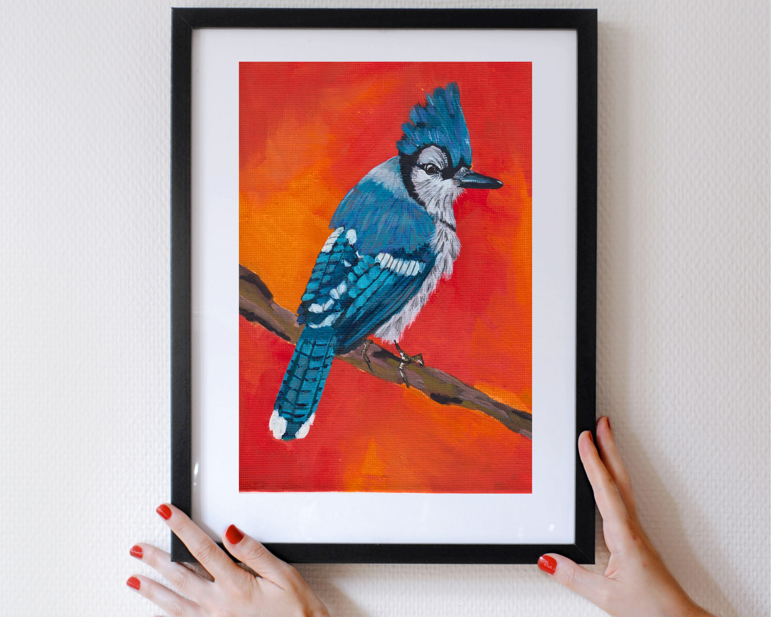 Blue Jay 1.png