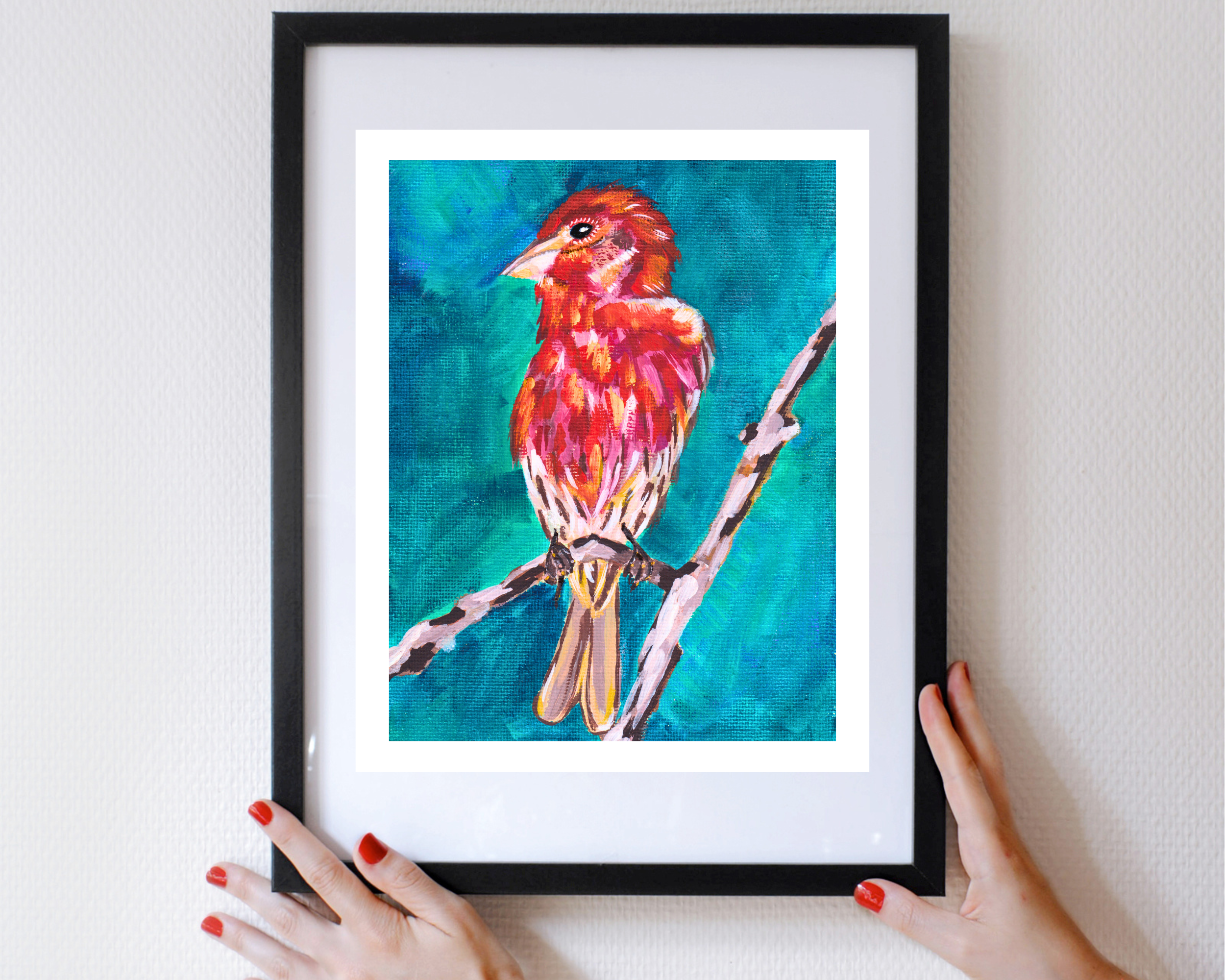 House Finch 3.png