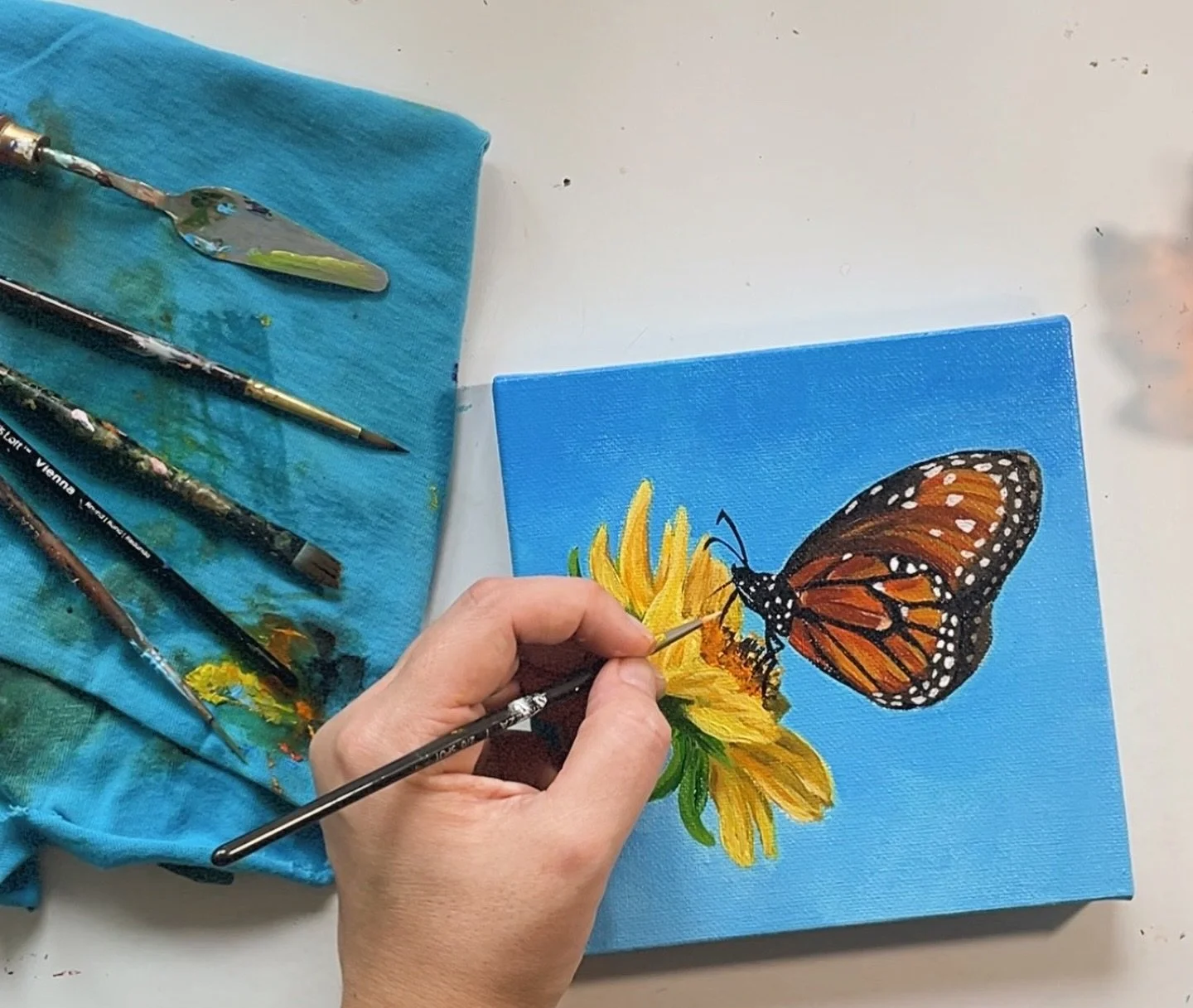 “Grace on a Flower” 🌼🦋
Acrylics on canvas, 6x6”
#acrylics #acrylicpainting #painting #butterfly #flower #art