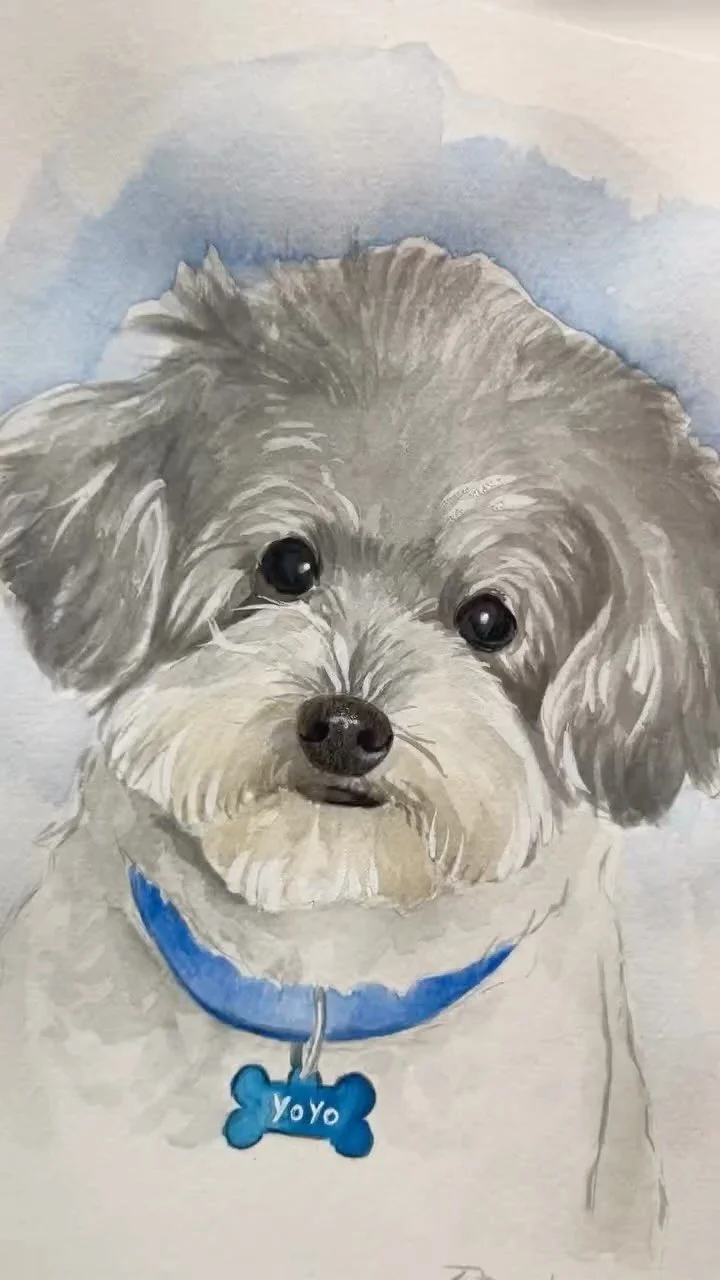 Memorial pet portrait of a cutie 🕊️♾️
#art #painting #watercolorpainting #watercolors #watercolorart #dogpainting #watercolorart #petportrait