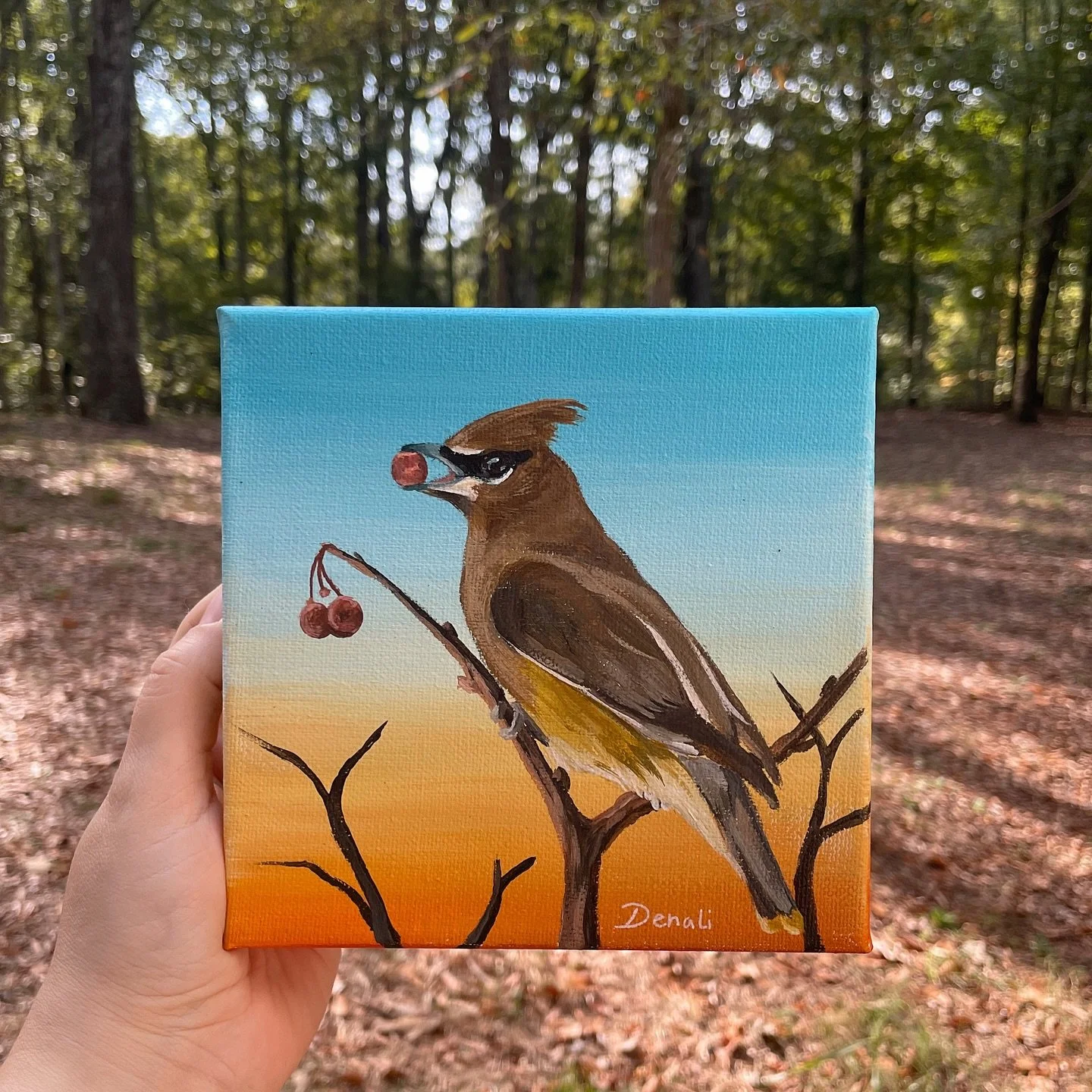 Cedar Waxwing, 6x6”, acrylics on canvas
#art #cedarwaxing #birdart #birdpainting #bird painting #acrylics #acrylicpainting