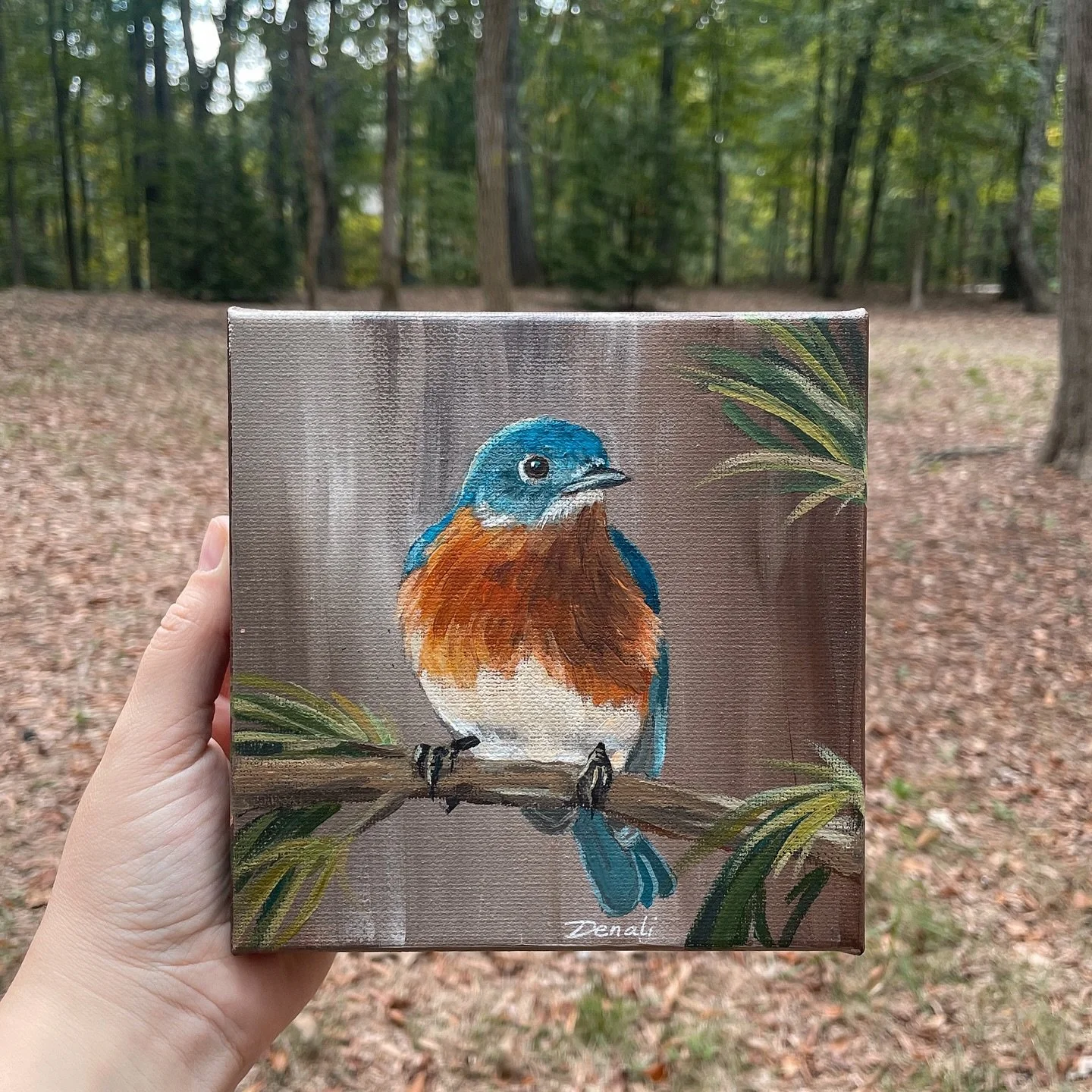 Eastern Bluebird, 6x6”, acrylics on canvas
#art #painting #acrylicpainting #acrylics #birdart #birdpainting