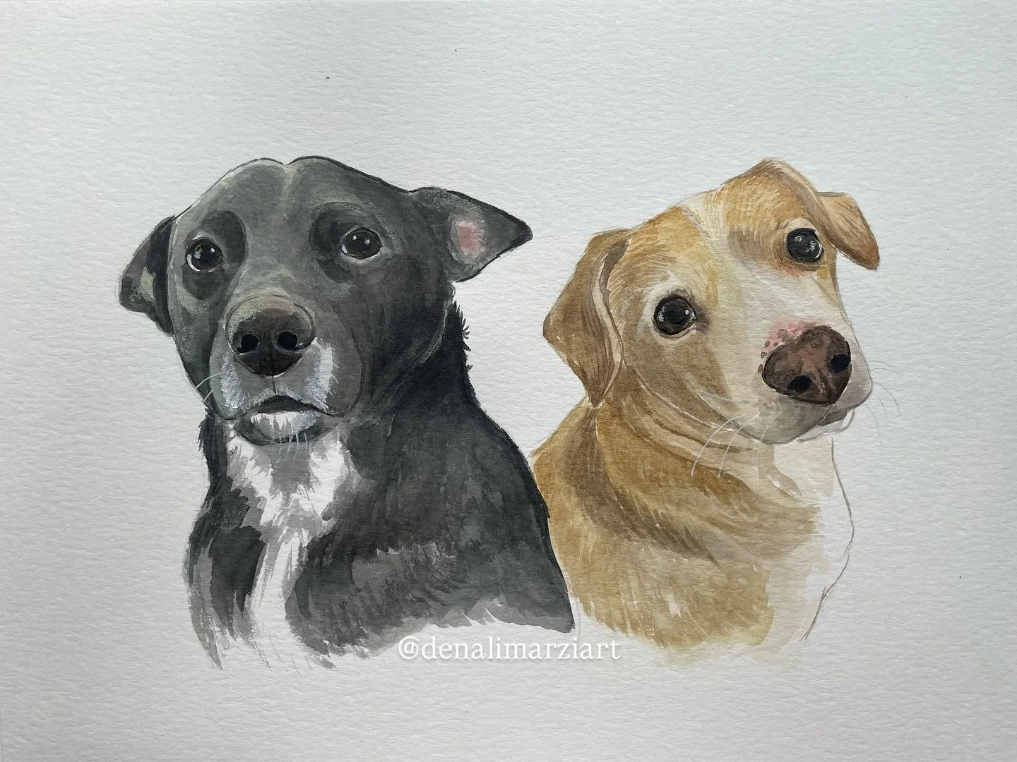 Dogs portrait, 9x12”, watercolors on paper
#art #painting #watercolorpainting #dogpainting #petportrait