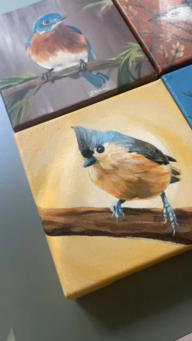 My bird collection so far (2 bird paintings aren’t in the video because they already flew to their new home). 🪶 All in acrylics.
#art #painting #acrylicpainting #acrylics #birdart