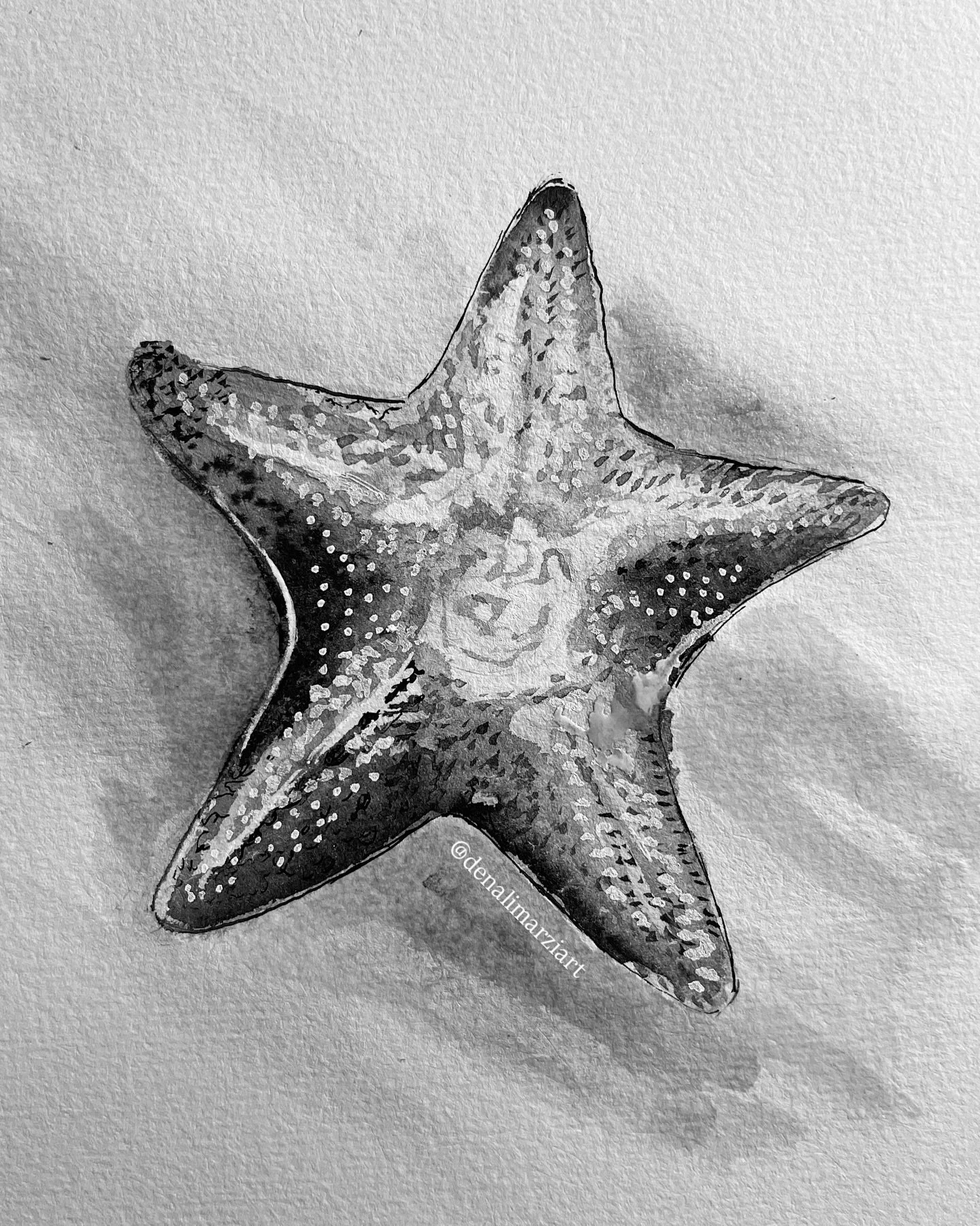 Joining the #Inktober challenge a bit late. And, I can’t guarantee I’ll complete it 🙈 but it’s def a great excuse/chance to improve my ink drawing skills!
This starfish was done in like 10 min while chatting over the phone with my