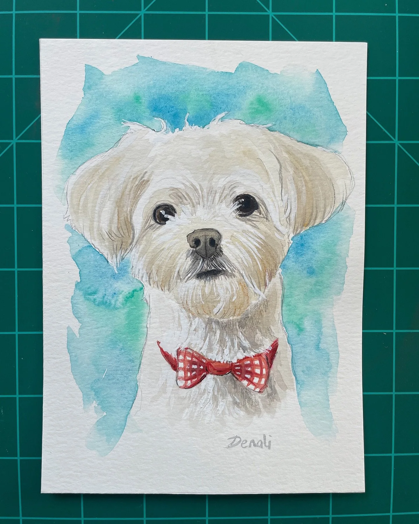 Watercolor portrait of a beautiful white dog on a soft blue background 💙🐾 Delivering to its new home today!

#watercolors #watercolorpainting #painting #dogportrait #dogpainting #petportrait #art