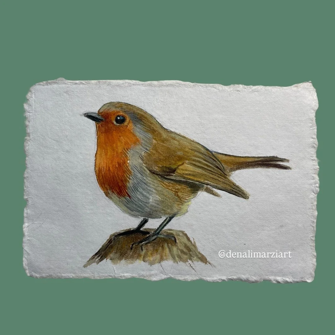 European Robin, 4x6&rdquo;, watercolors on handmade cotton paper (commissioned artwork) 

#europeanrobin #robin #birdpainting #birdart #painting #watercolors #watercolorpainting #art