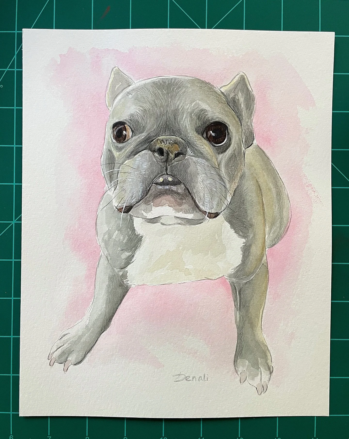 Pretty in pink and full of attitude 💗🐾

#watercolors #watercolorpainting #painting #dogpainting #dogportrait #petportrait #art