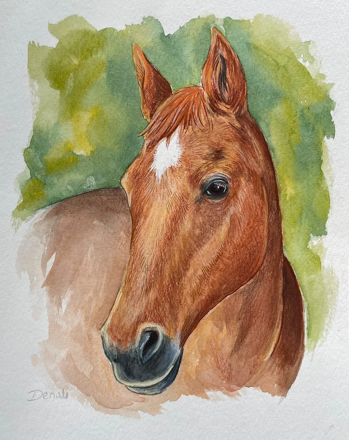 A memorial portrait of this sweet horse, created as a birthday gift commission. 🐴🤍🌈

#watercolors #watercolorpainting #painting #horse #horseportrait #horsepainting #art #commission