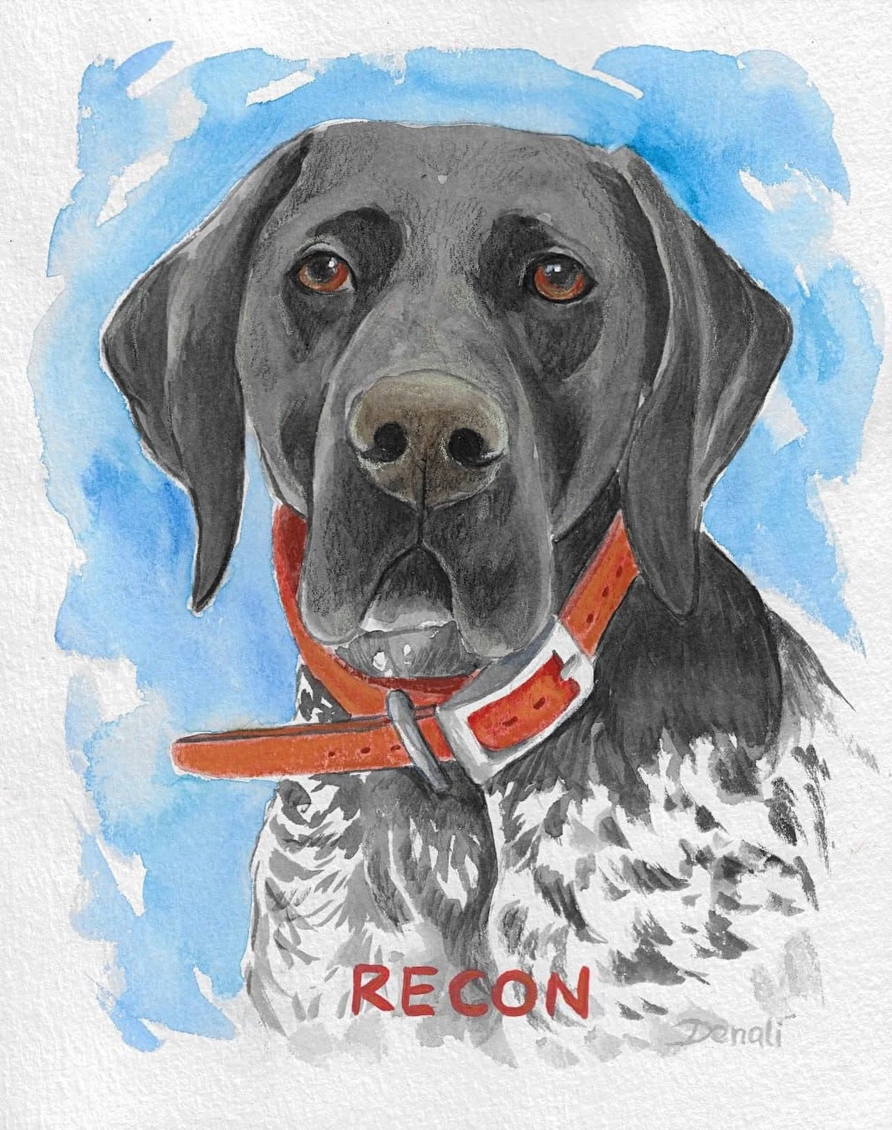 Say hi to this cutie, Recon 🧡

#watercolor #watercolors #watercolorpainting #painting #dogportrait #petportrait #art