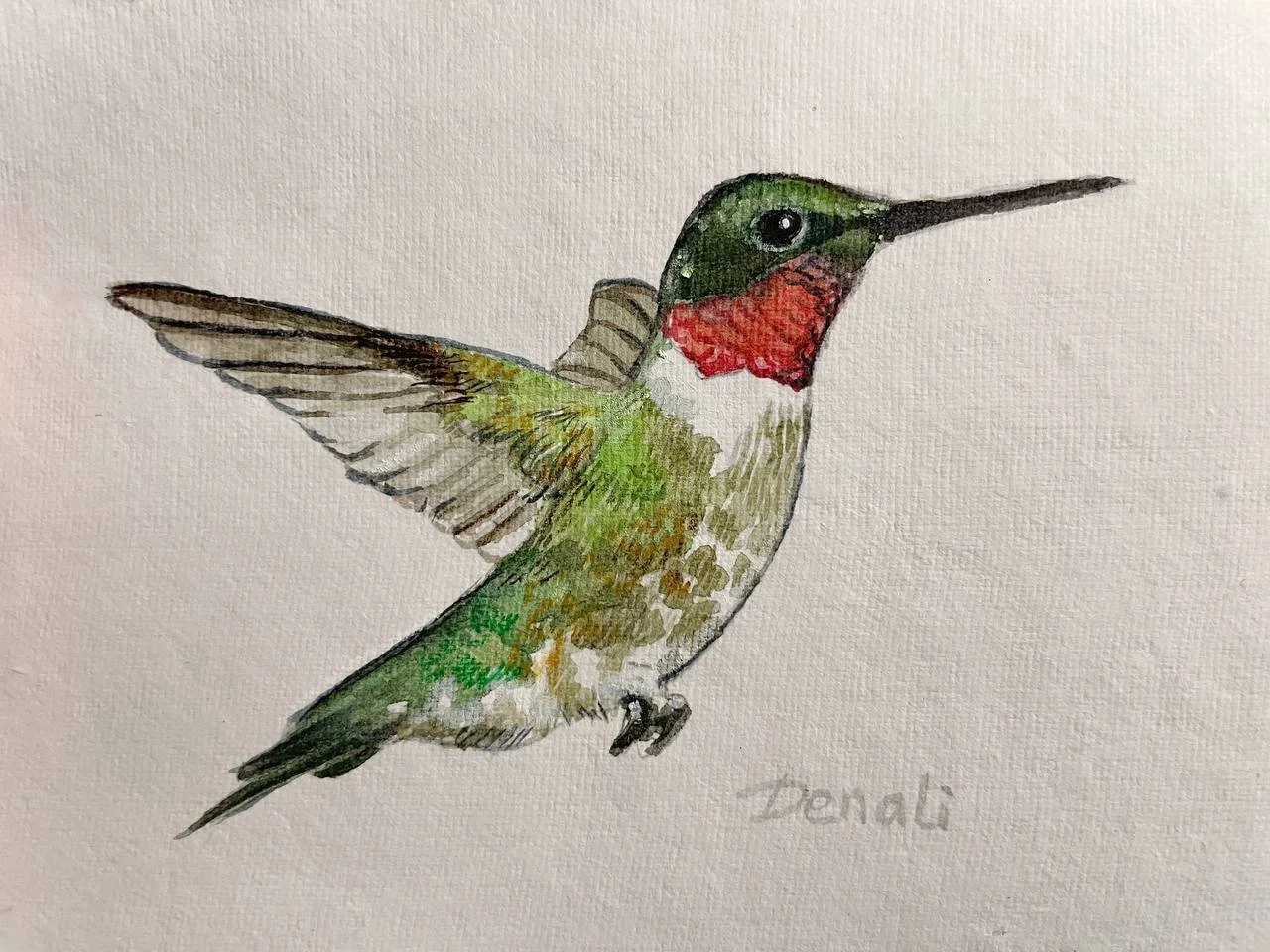 hummingbird 4x6 (1).jpg