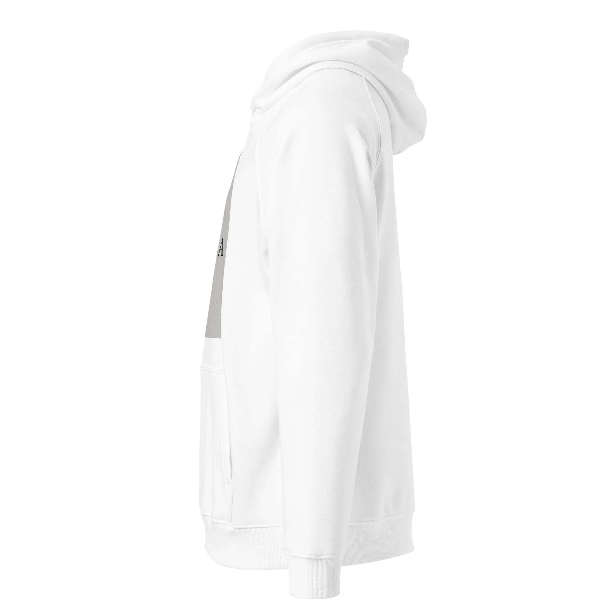 unisex-eco-raglan-hoodie-white-left-68b86c1c79676.jpg