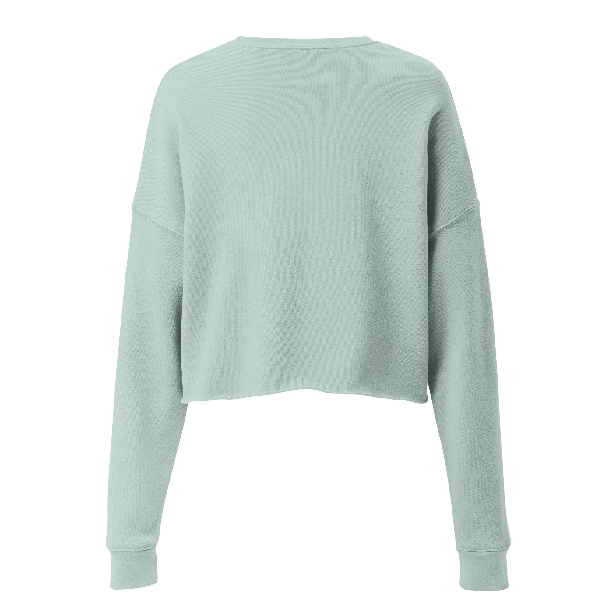 womens-cropped-sweatshirt-dusty-blue-back-68b86dba916ed.jpg