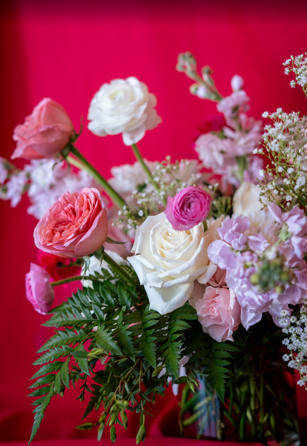 Valentine’s Day and Everything Else 