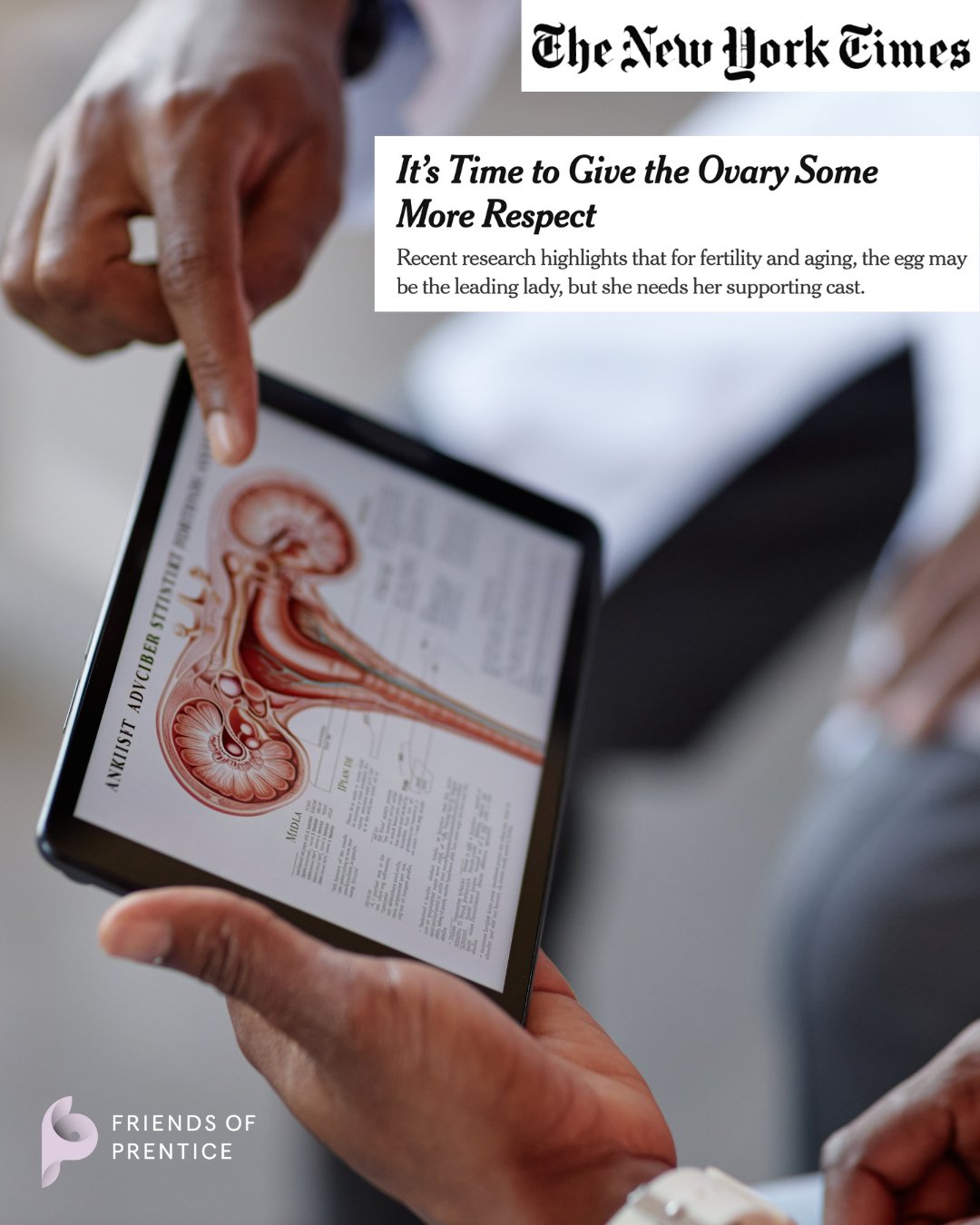 We&rsquo;re proud to celebrate our very own grant recipients Dr. Monica Laronda, Dr. Kara Goldman, and Dr. Francesca Duncan, who were recently featured in The New York Times (@nytimes) for their groundbreaking work on ovarian health.⁠
⁠
In this featu