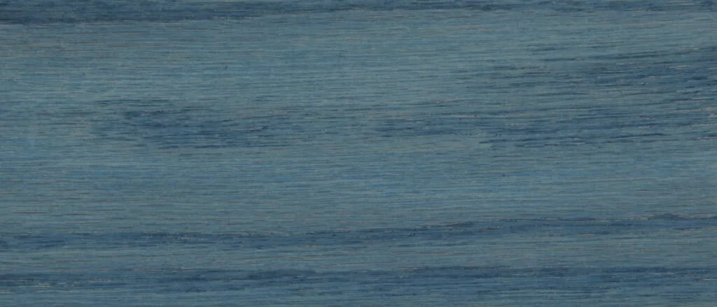Geai Bleu