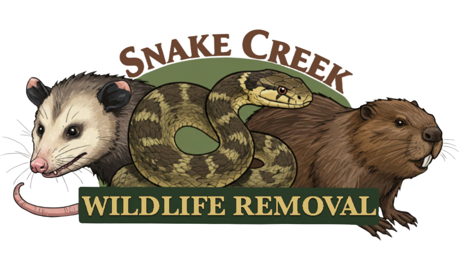 Snake Creek Wildlife Removal