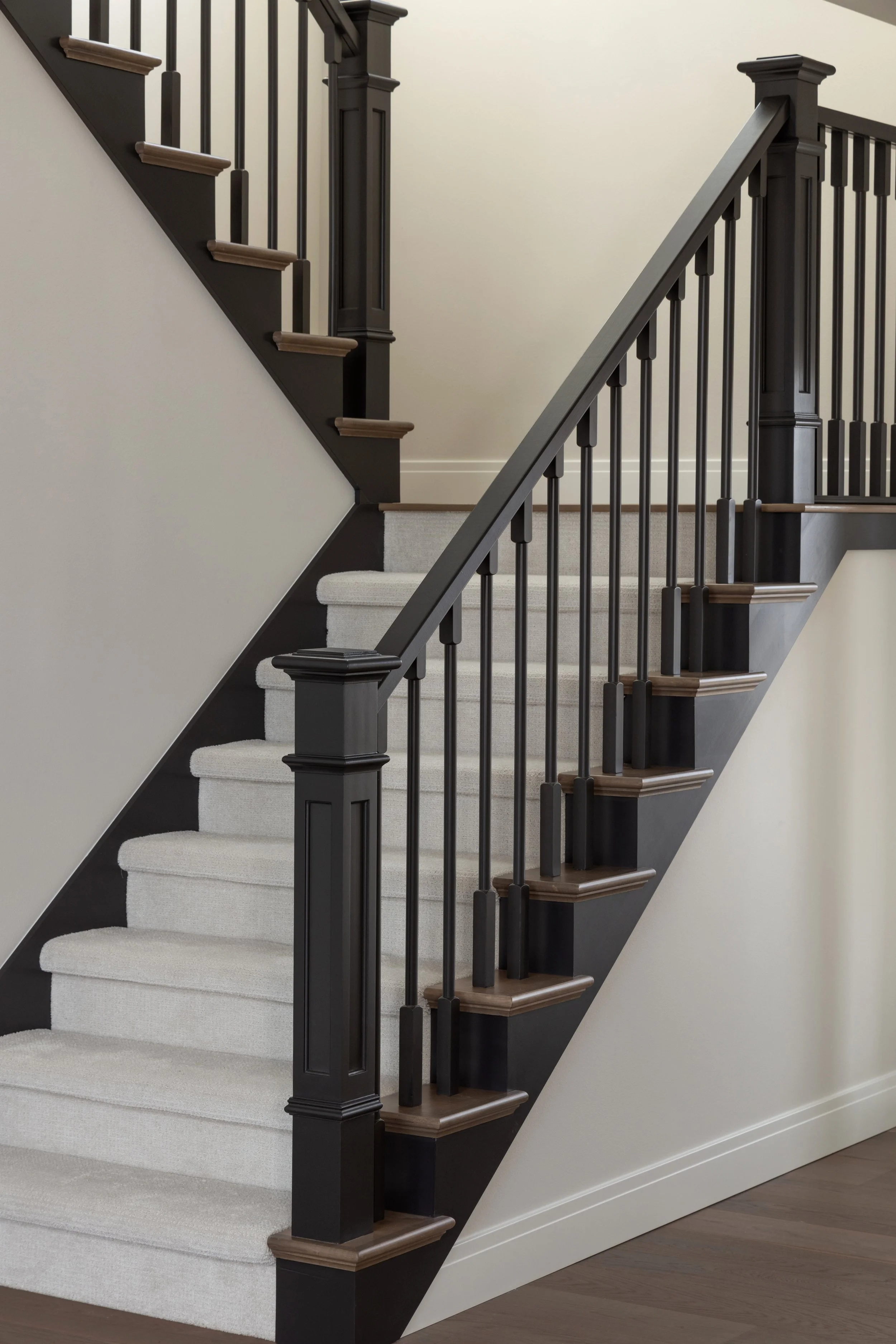 Black stair railing with white stairs