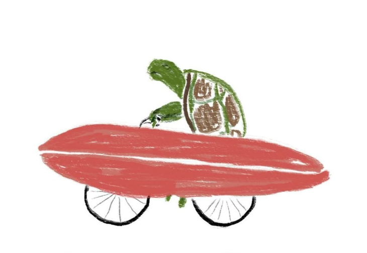 The Turtle and the Scorpion