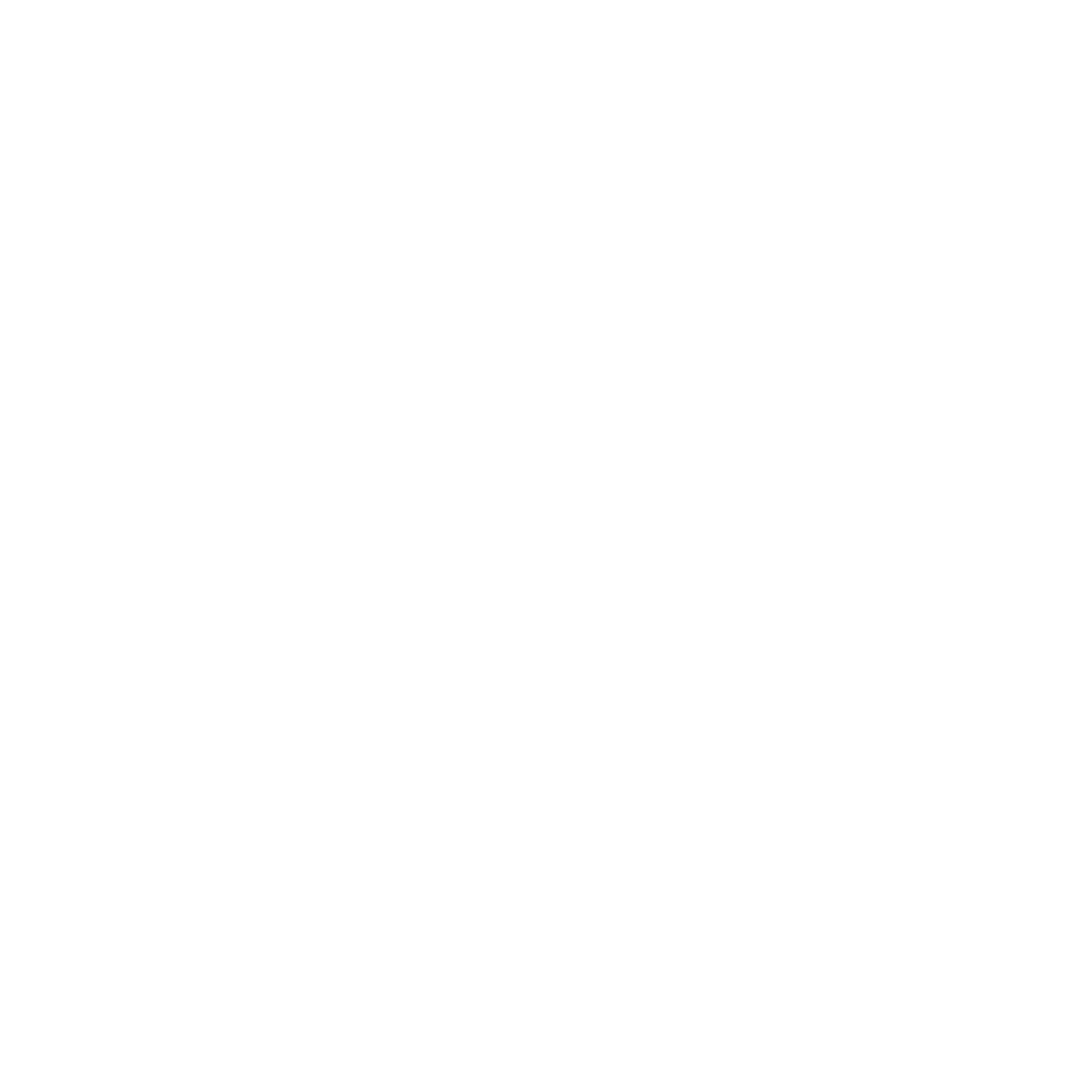 33 LOGO TRANSPARENT.png