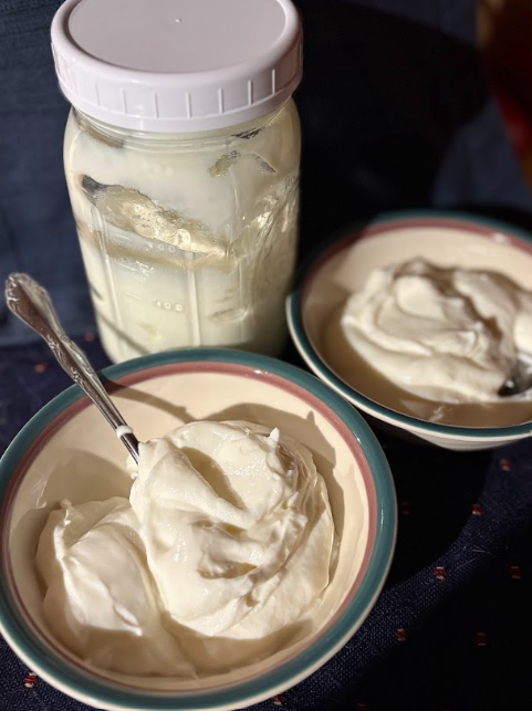 local Maine raw cows milk and yogurt