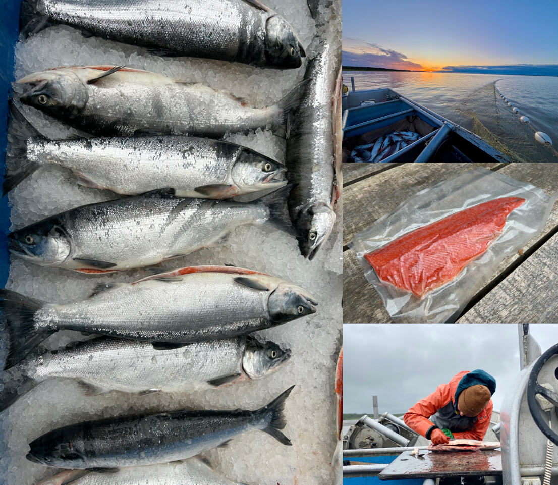 Wild Alaskan Salmon