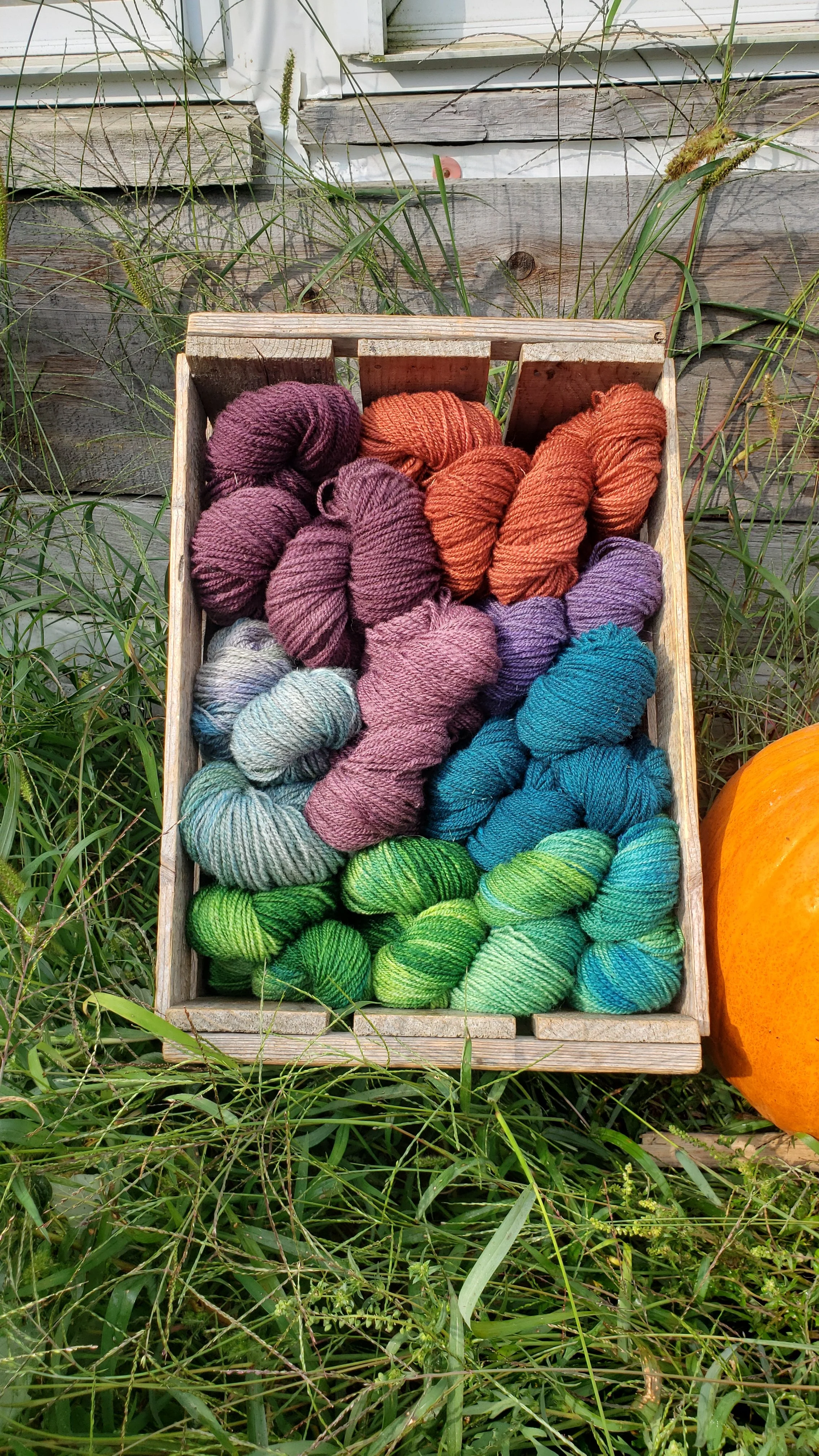 A wooden crate filled with skeins of rainbow-colored yarn from local Maine sheep