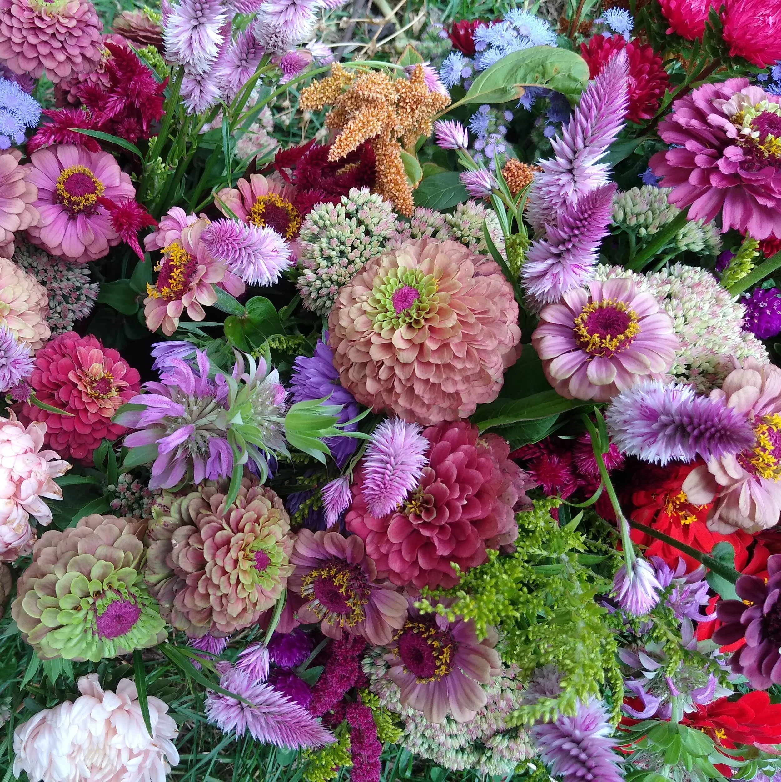 bouquet of pink and purple zinnias and other summer flowers