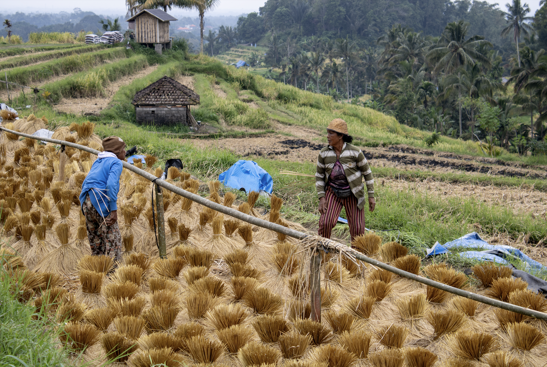 Screenshot 2025-08-06 at 8.11.32 AM.png