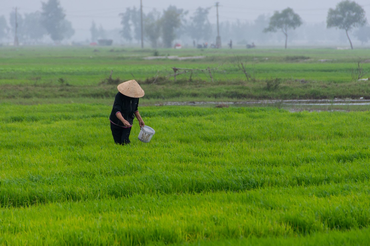 Vietnam