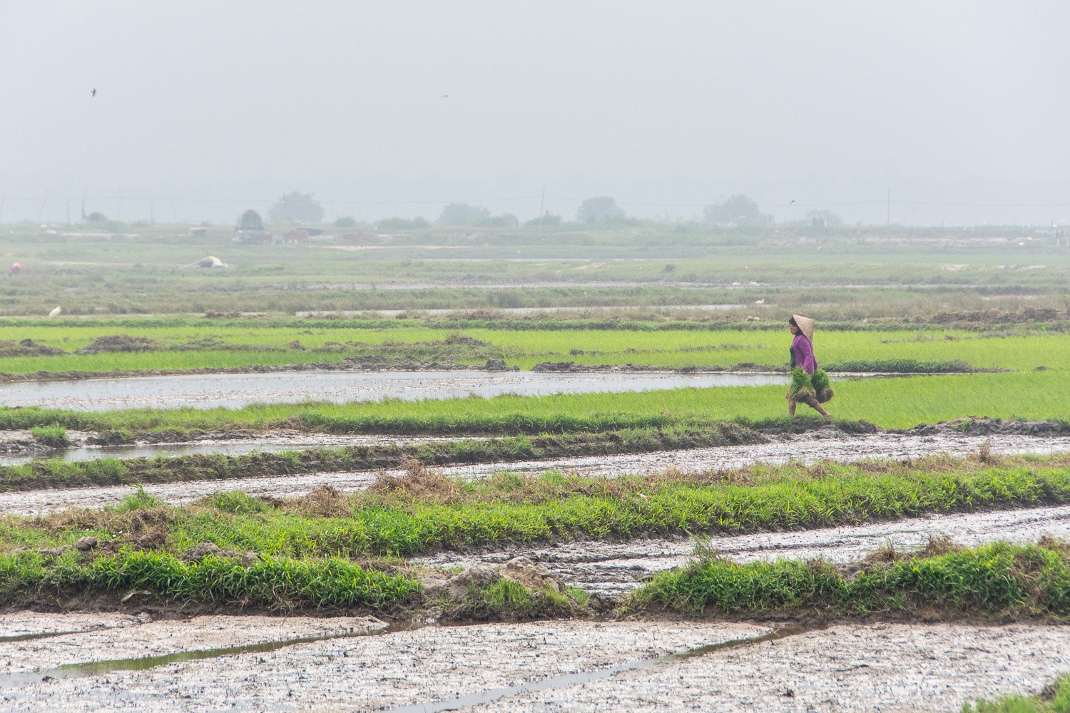 Vietnam