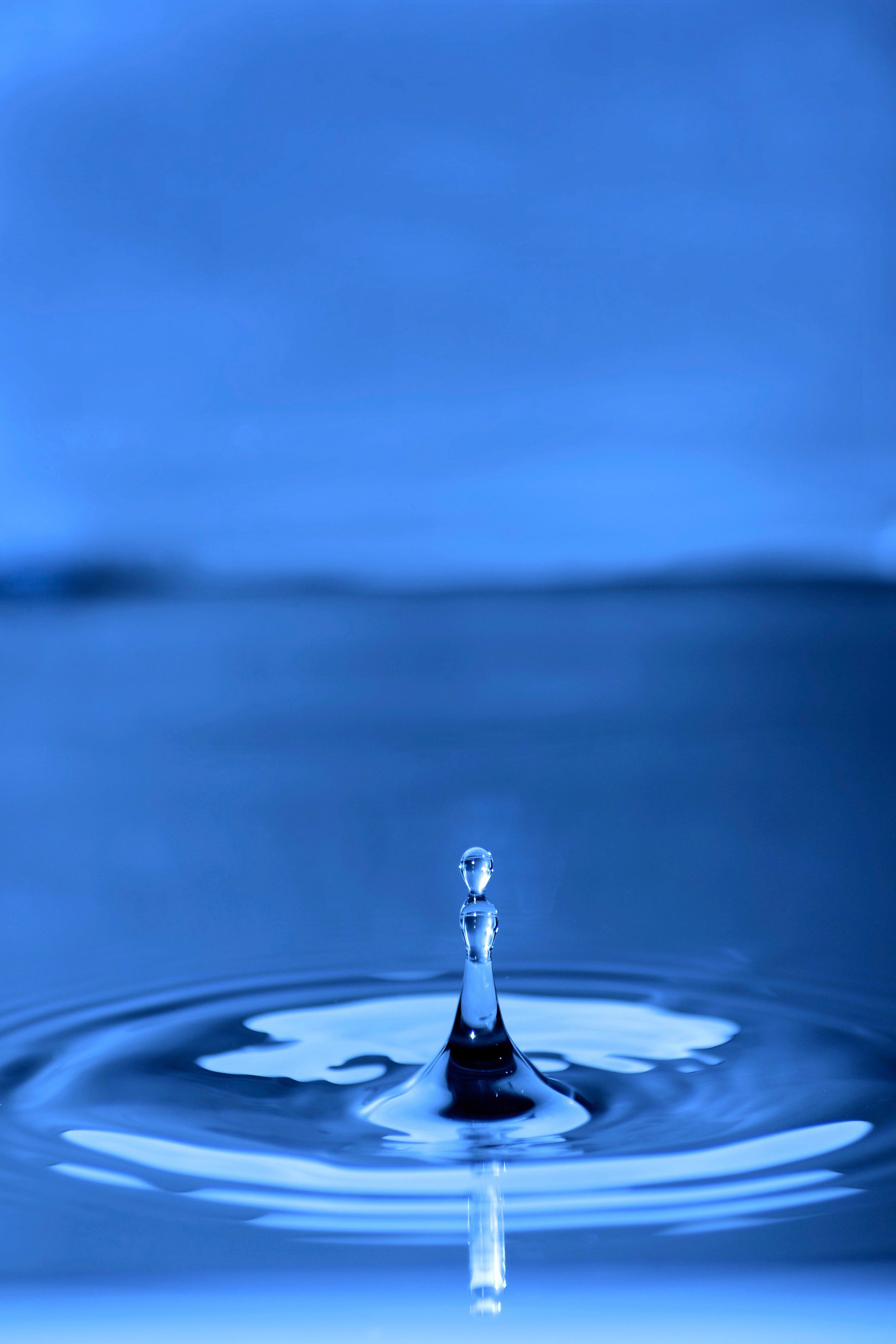 DSC_0879-Edit.jpg