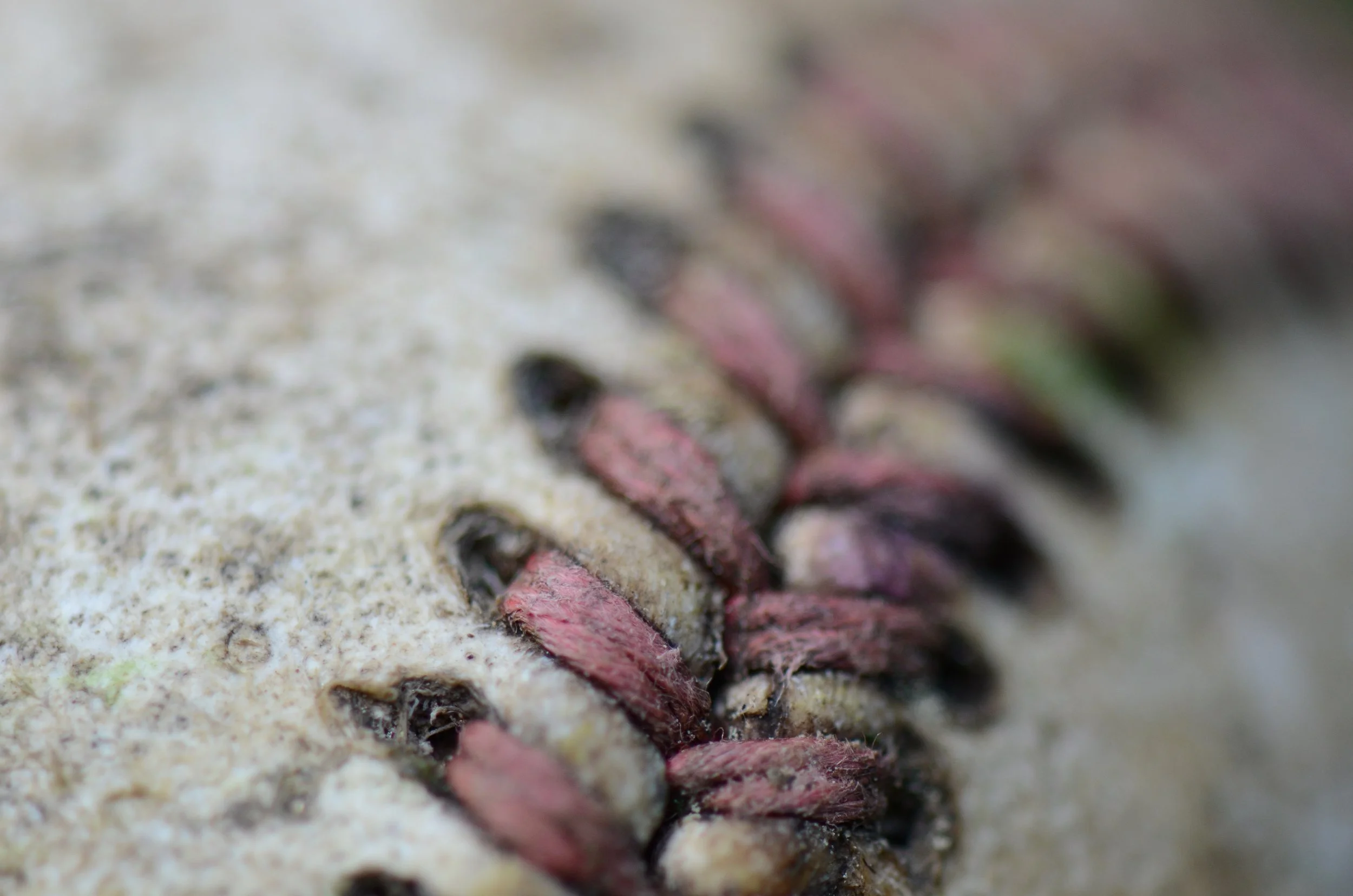 2012June09untitled1.jpg