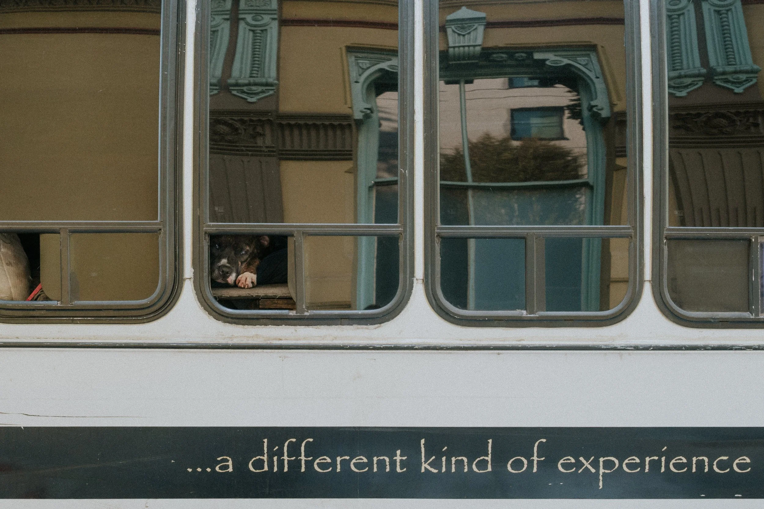 DSC_6608.jpg
