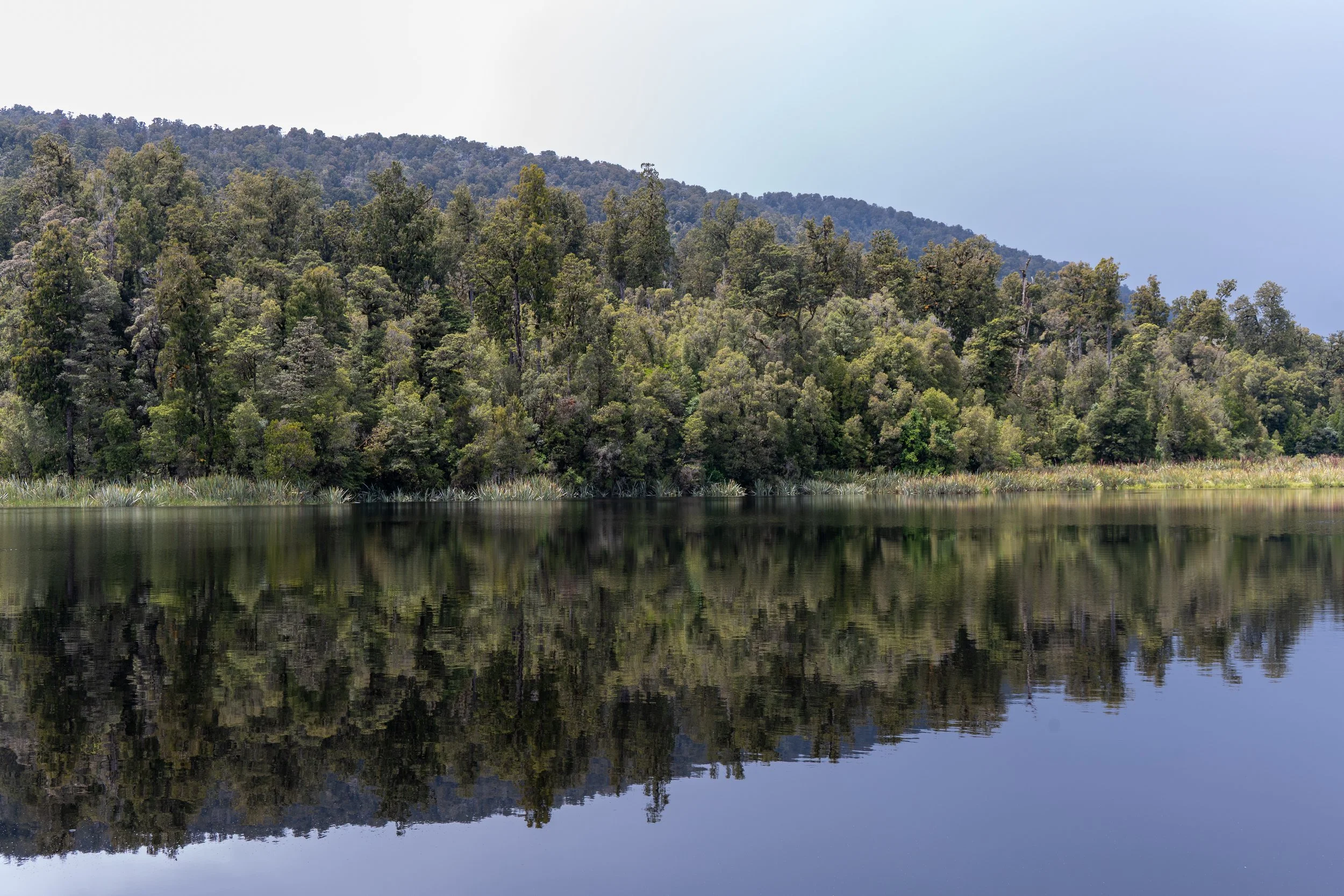 DSC_4838.jpg