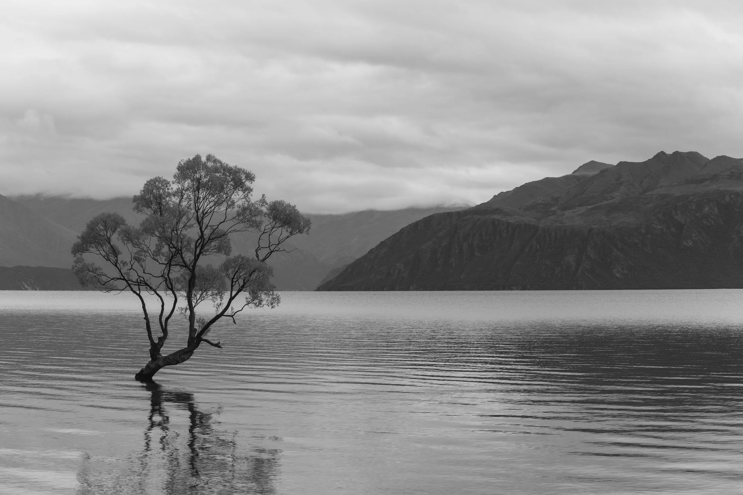 DSC_5118.jpg