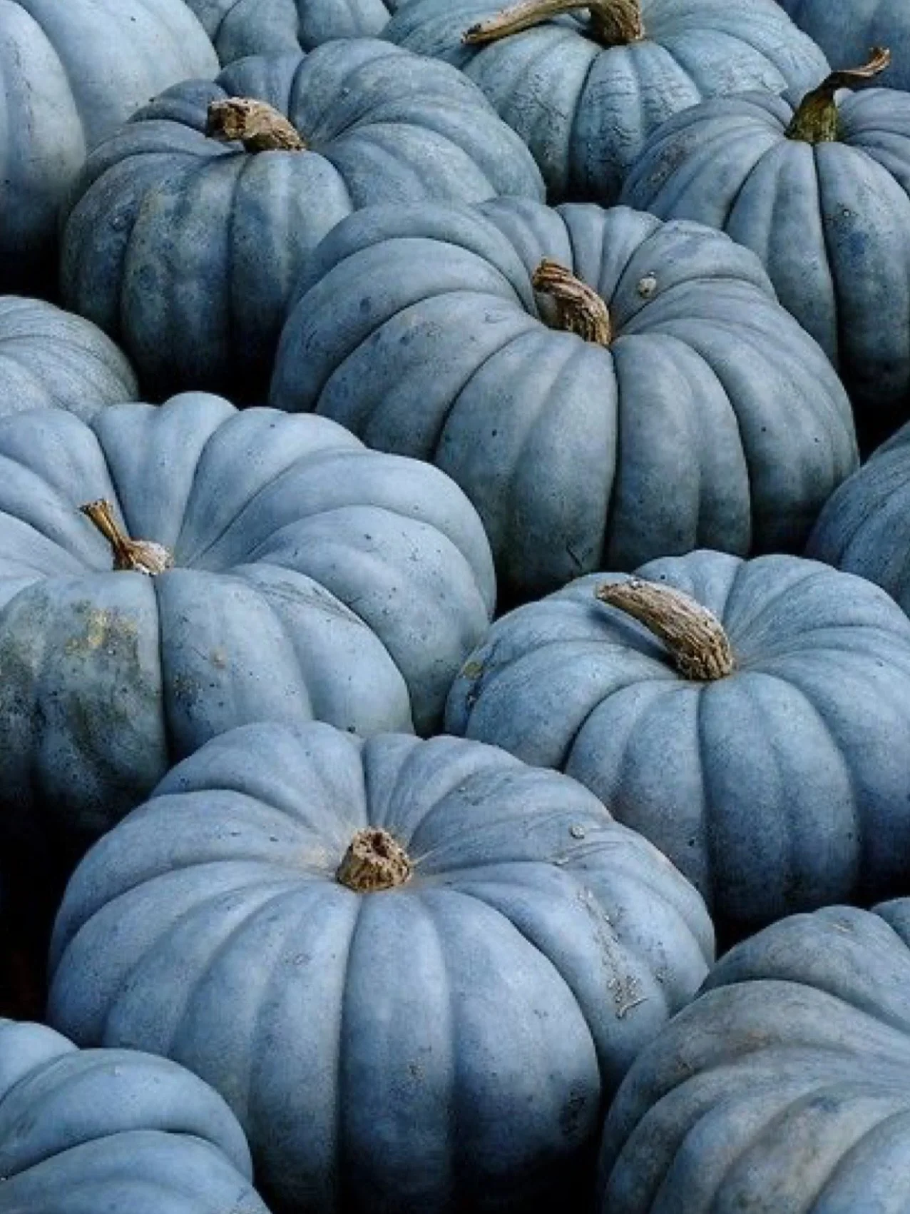 You&rsquo;ve heard of a blue Christmas, but we&rsquo;ve got some blue Halloween ideas. Have you found your Halloween costume yet?Let us know if you like these blue Halloween inspiration.