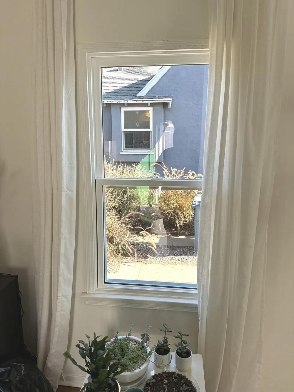 Double-hung window installation completed for one of our clients surrounded by white curtains and a plant in front.