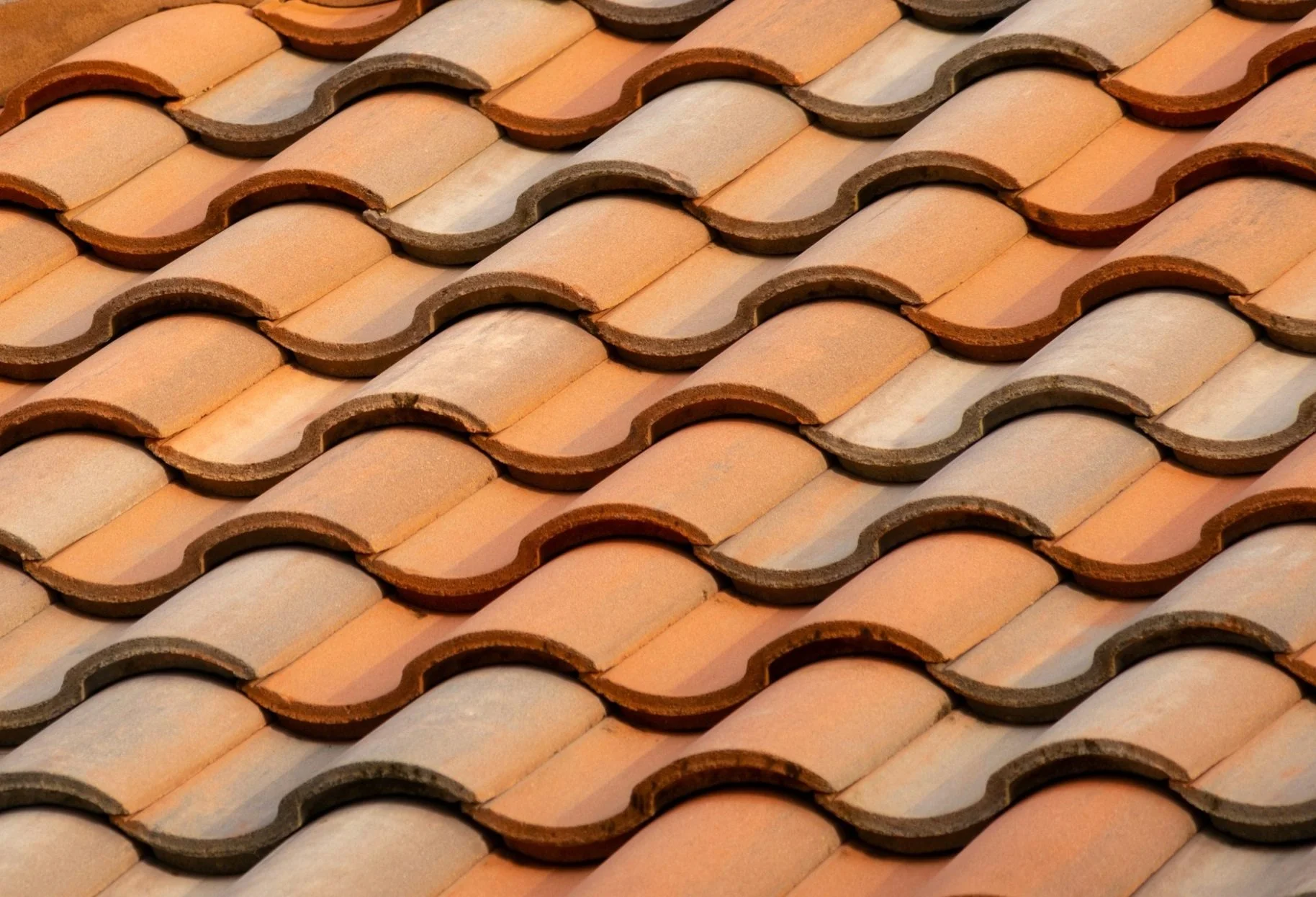 GreenCal project image