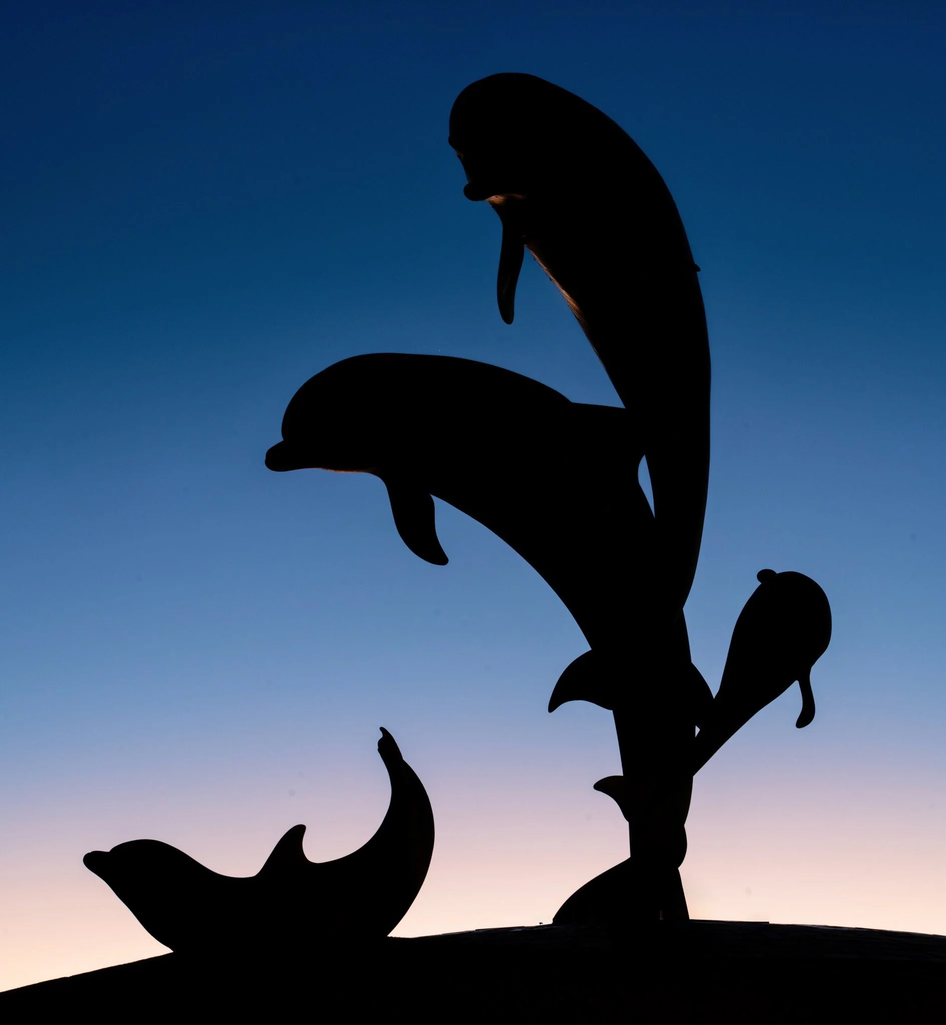 Sunrises always feel like opening a present to me. I never know what I&rsquo;m going to see. Sometimes it&rsquo;s soft and quiet, other days the sky just explodes with light. But it&rsquo;s always a beautiful surprise.
These silhouettes were from the